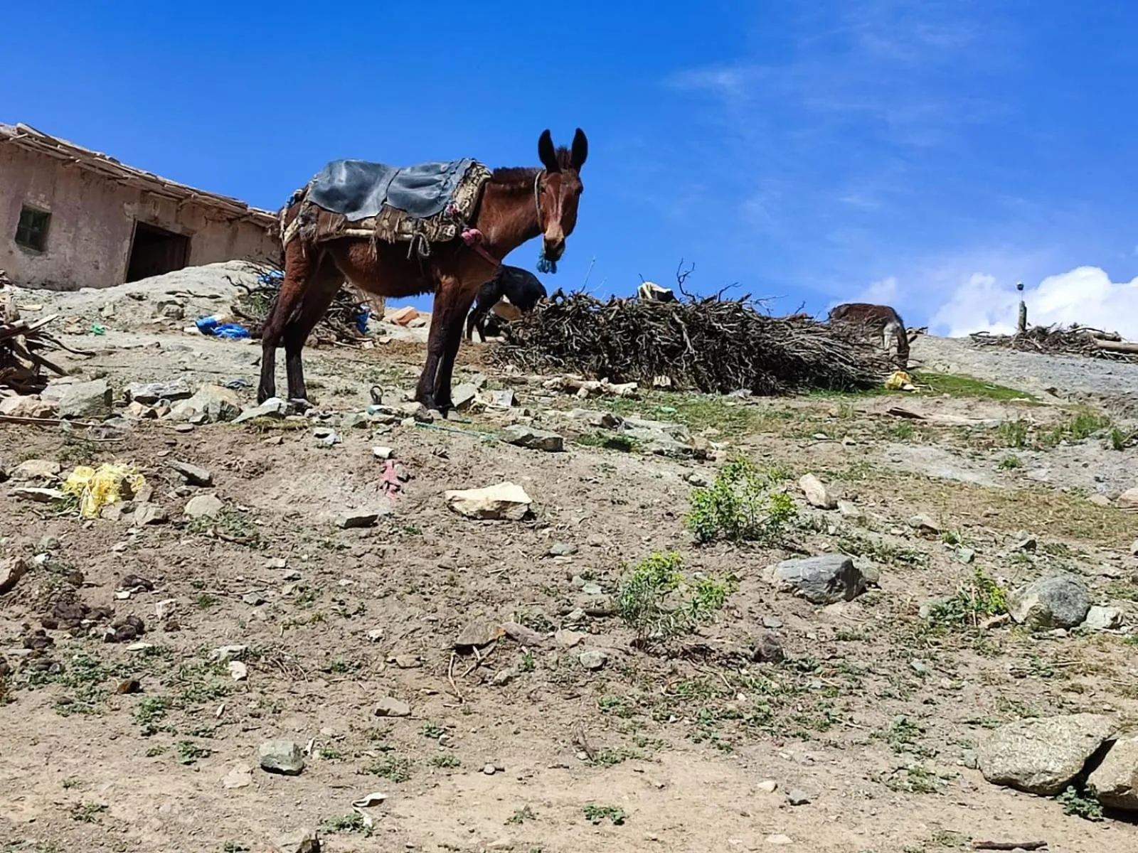 Hiking in Auberge restaurant Afoud