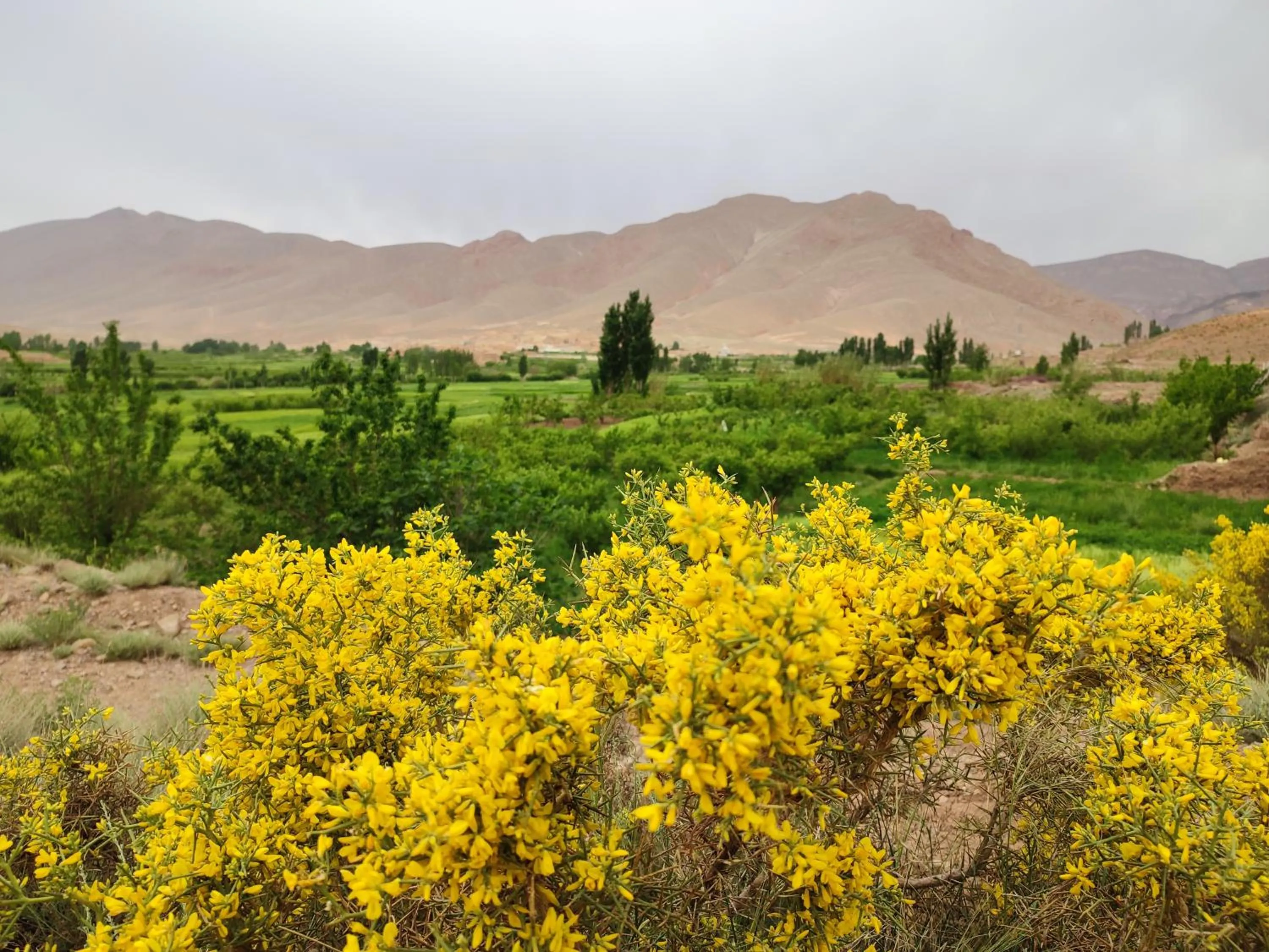 Auberge restaurant Afoud