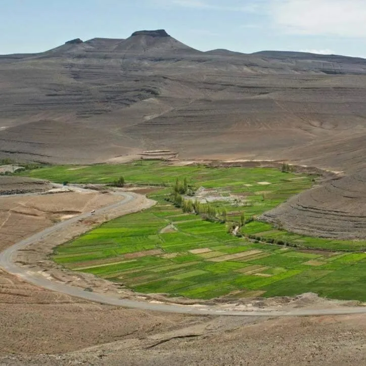 Auberge restaurant Afoud