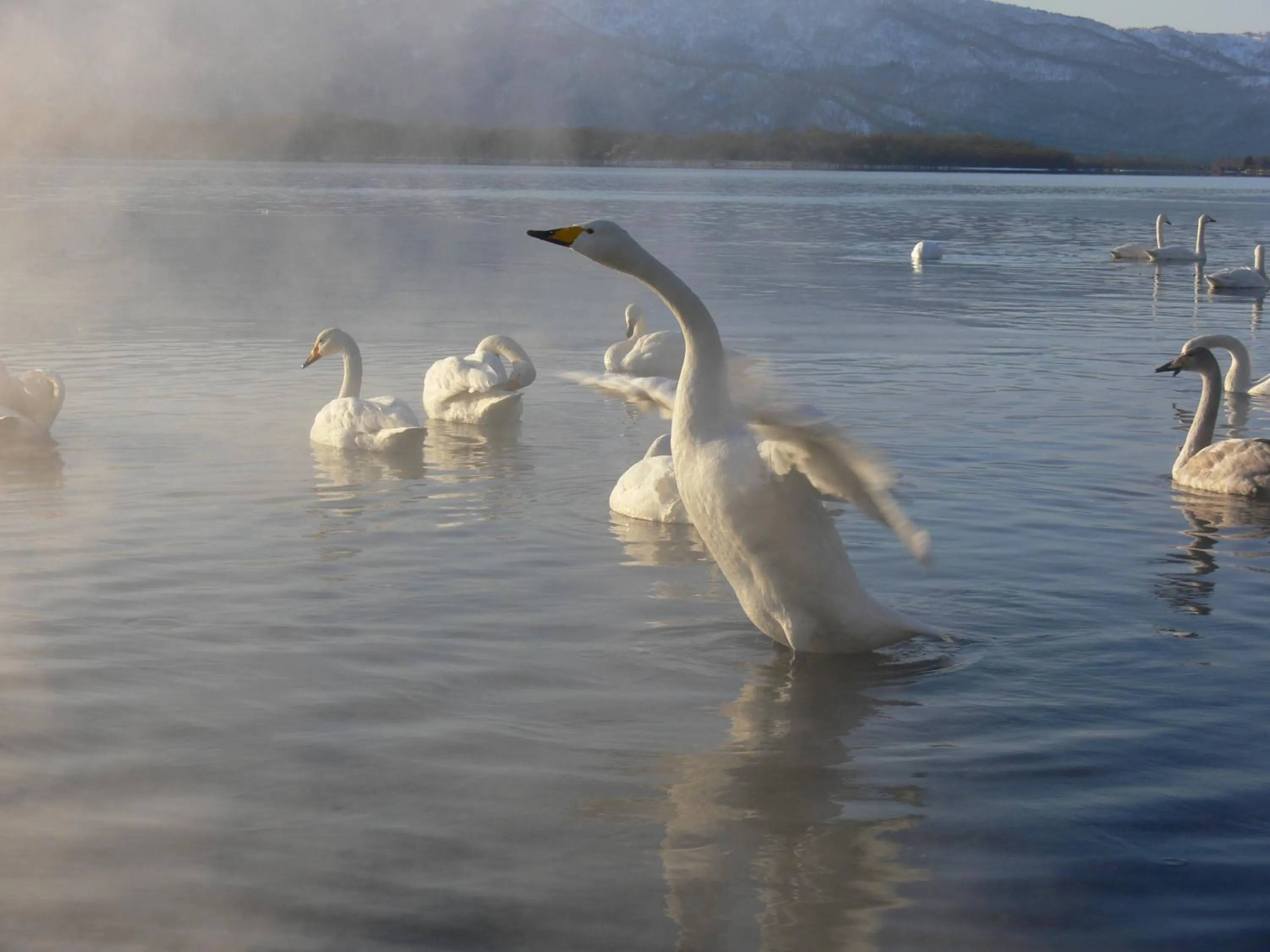 Natural landscape in Oyado Kinkiyu Annex SUIKAZURA