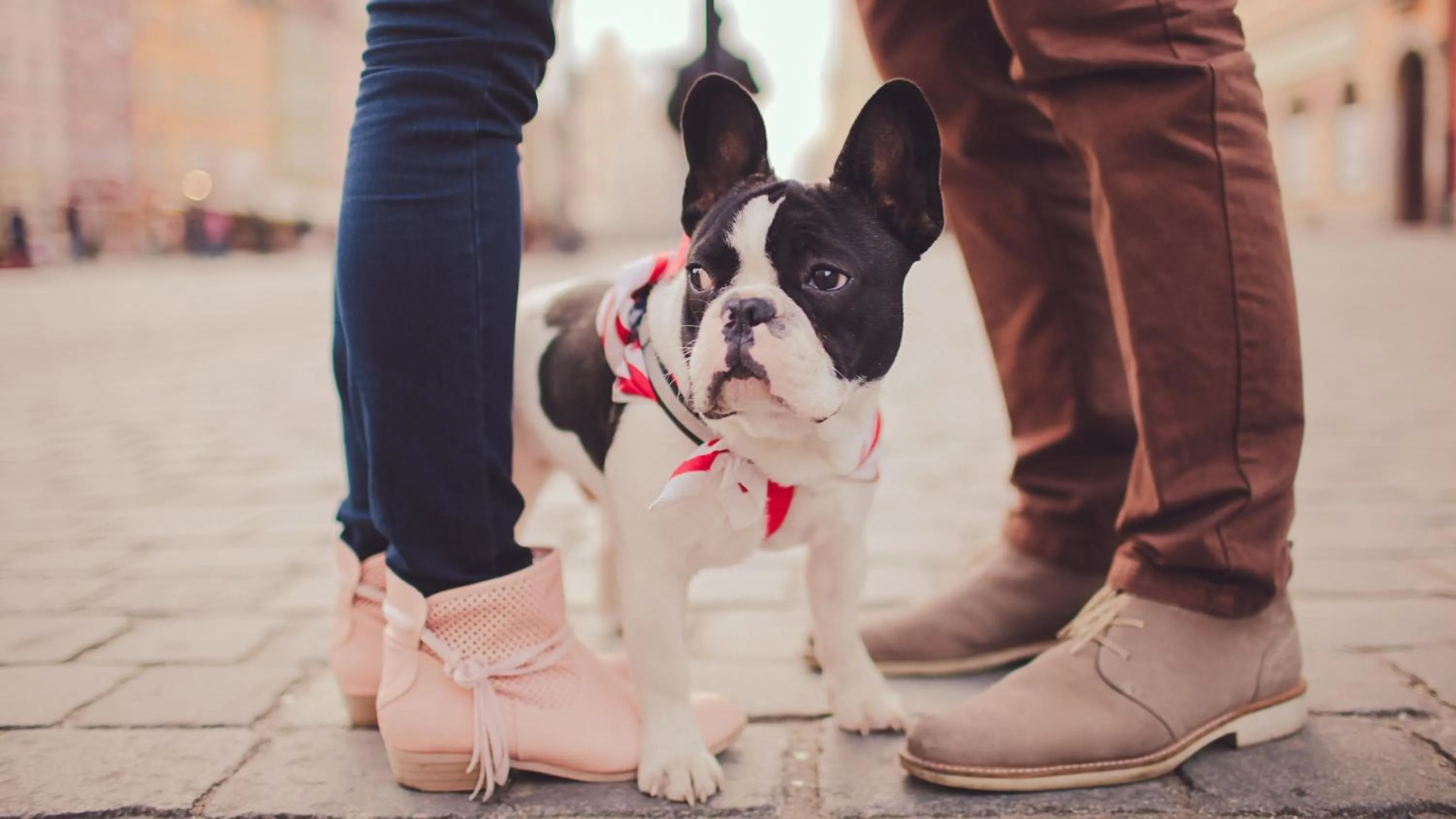 Decorative detail in Hotel Indigo Cleveland Beachwood by IHG