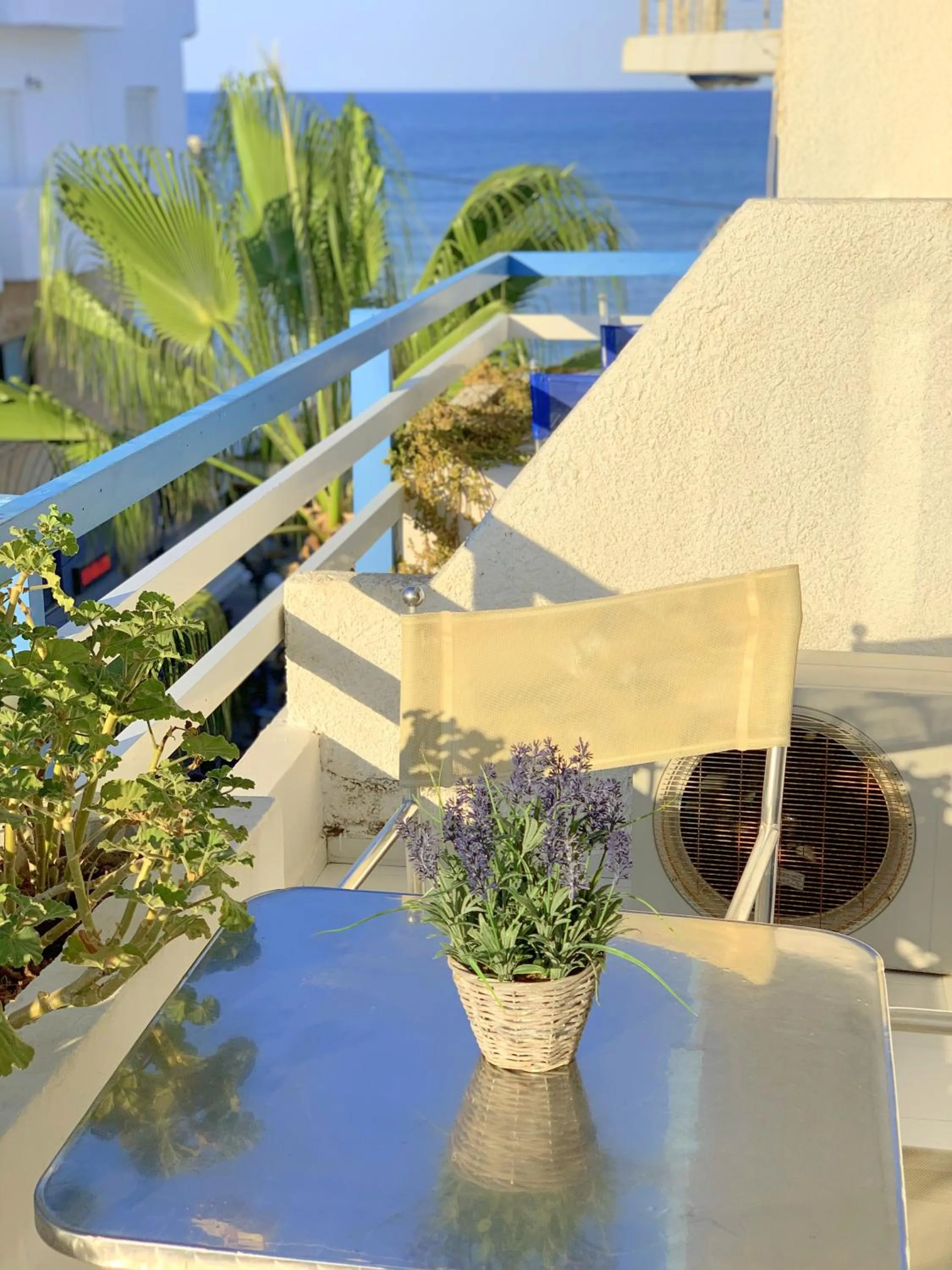 Balcony/Terrace in Kassavetis Center - Hotel Studios & Apartments