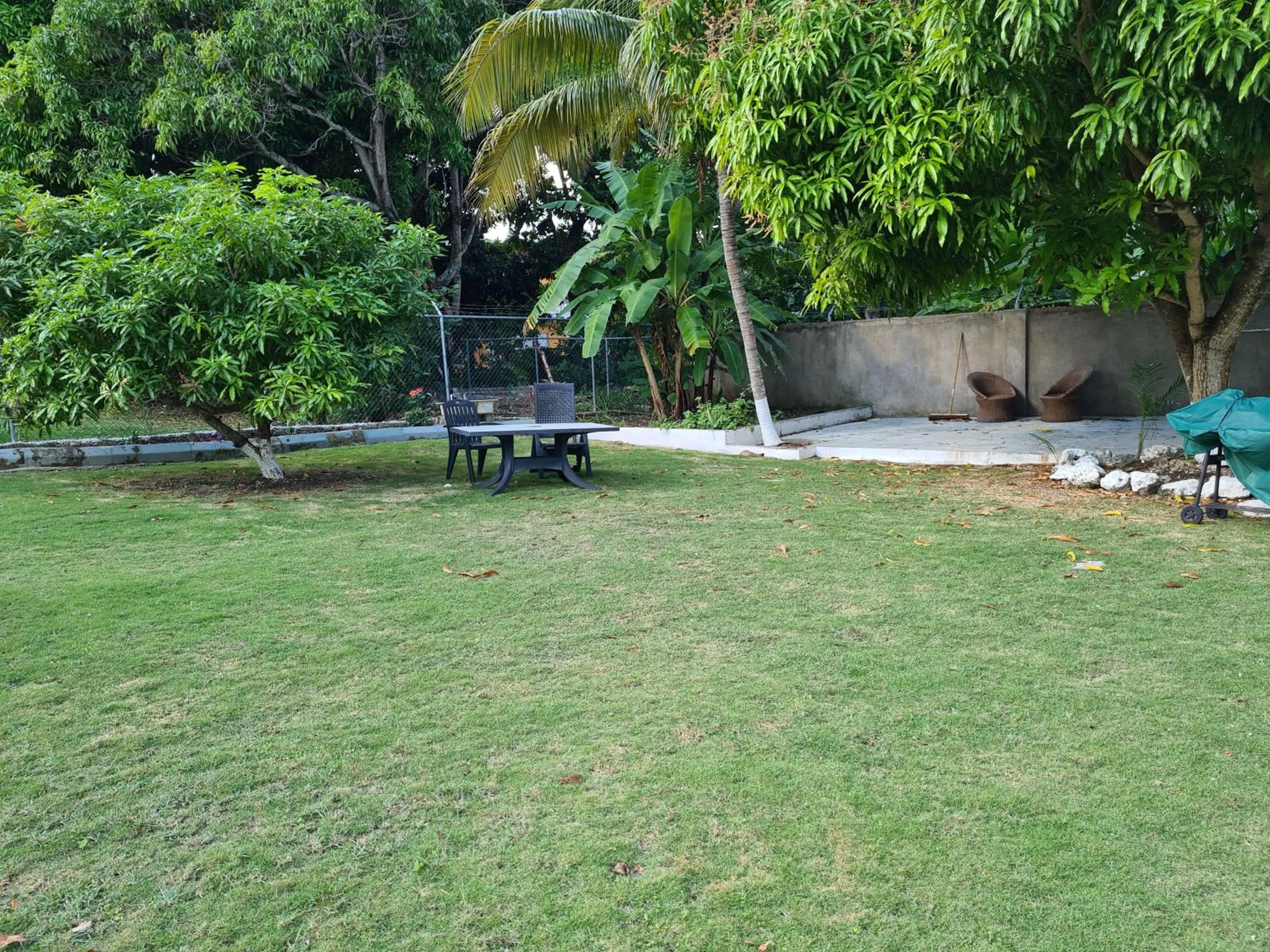 Lovely 1-Bed in Montego Bay-Rose View Apartment