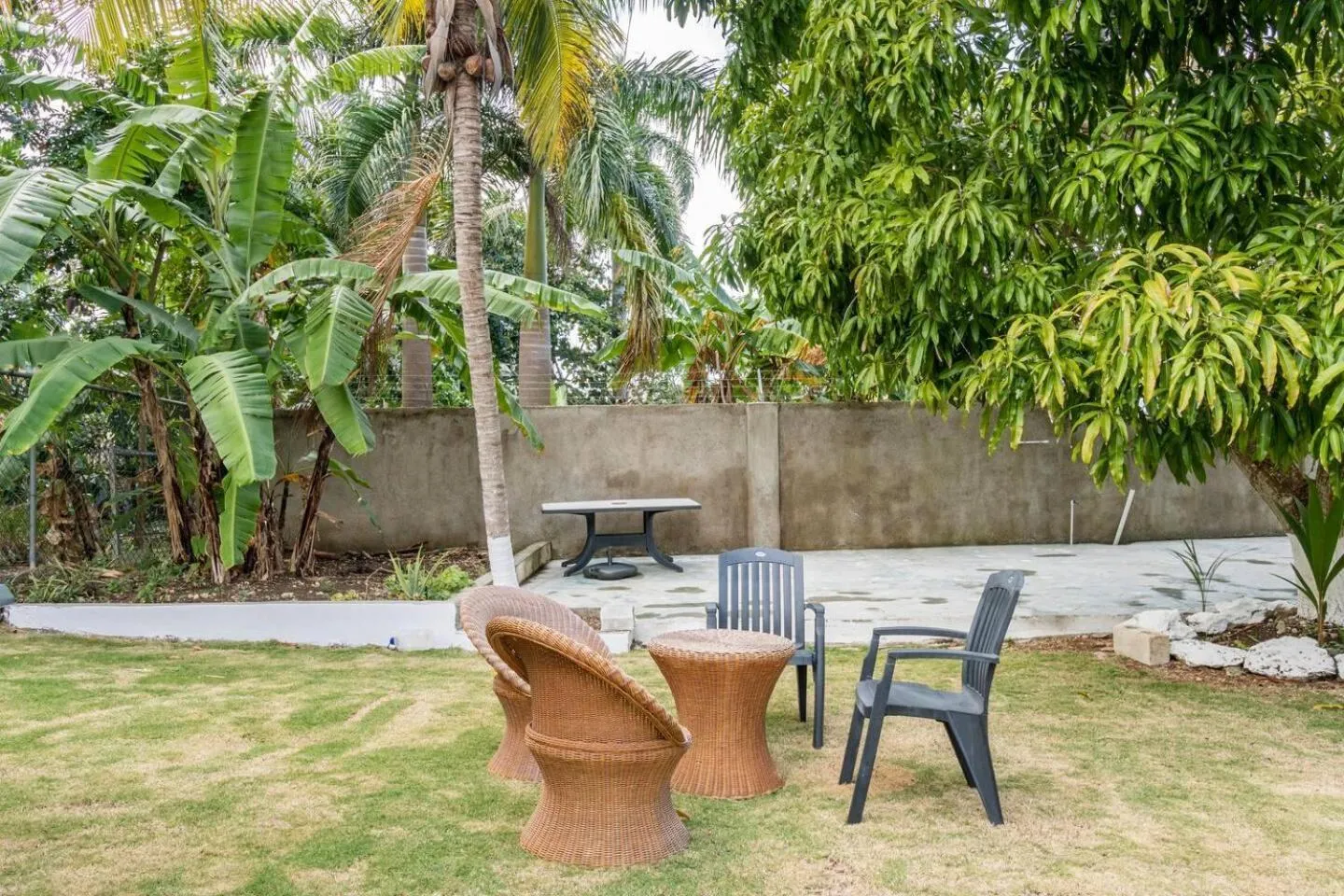 Garden in Lovely 1-Bed in Montego Bay-Rose View Apartment