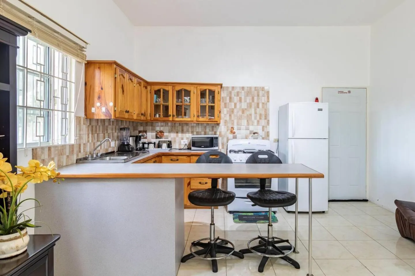Kitchen or kitchenette in Lovely 1-Bed in Montego Bay-Rose View Apartment