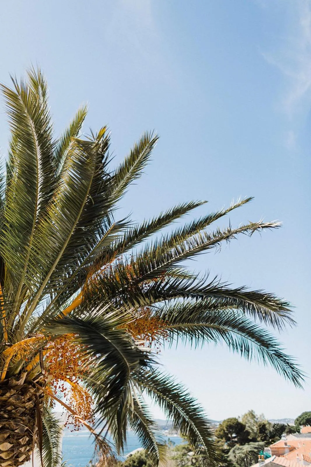 Natural landscape in Hôtel Les Voiles