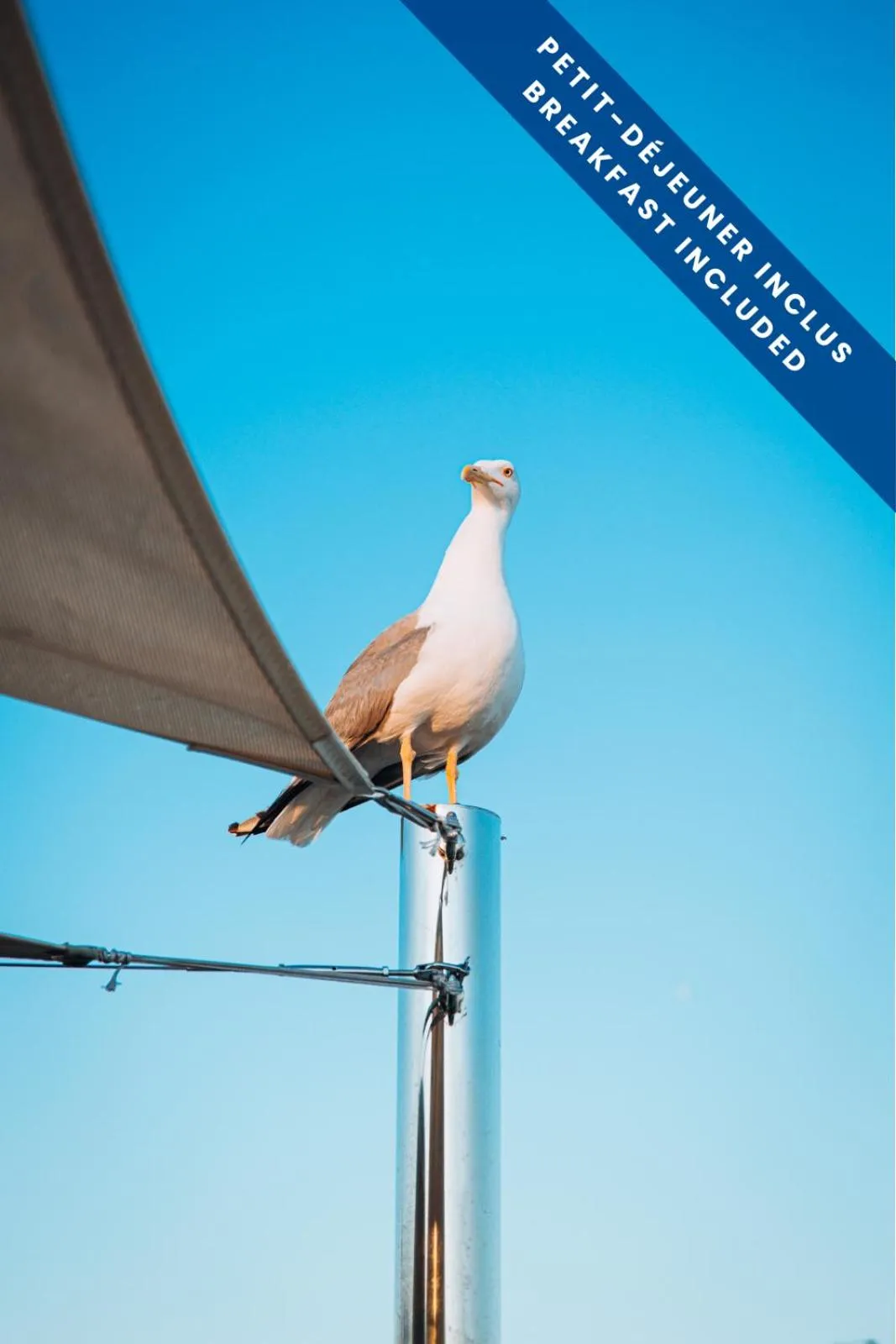 Balcony/Terrace in Hôtel Les Voiles