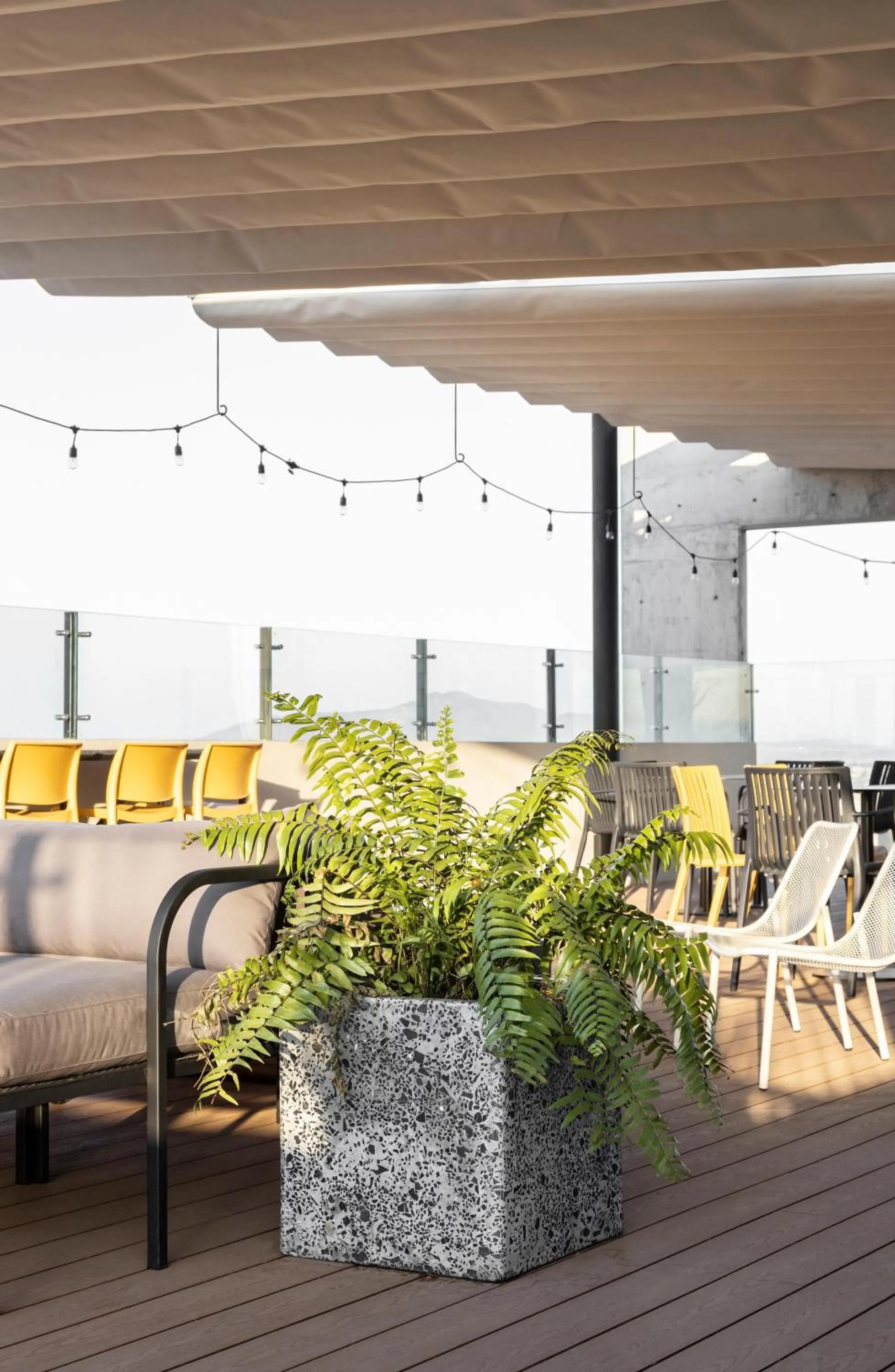 Loft Of Greens In The Heart Of Americana Witgdl