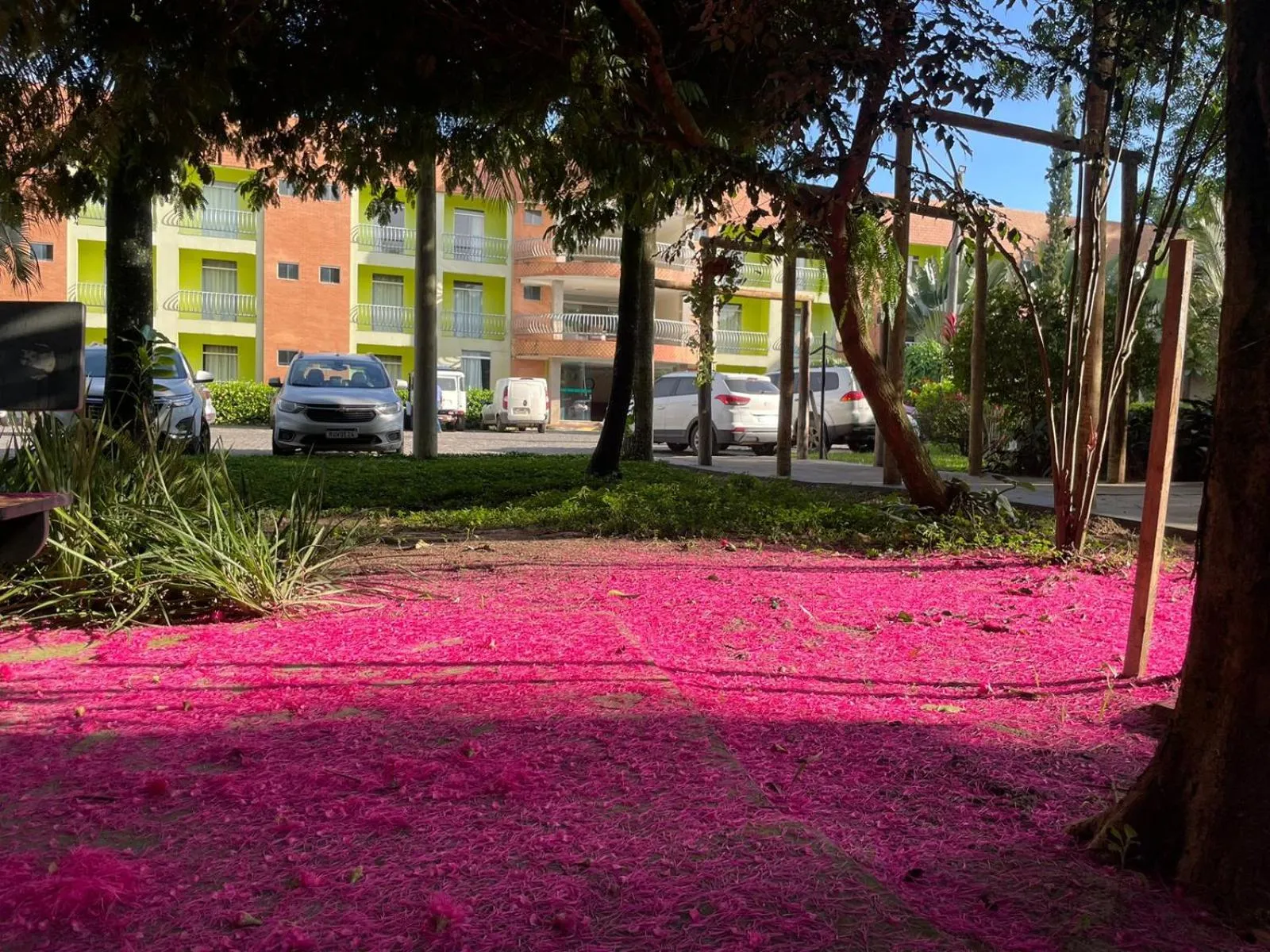 Garden in Hotel Absolar