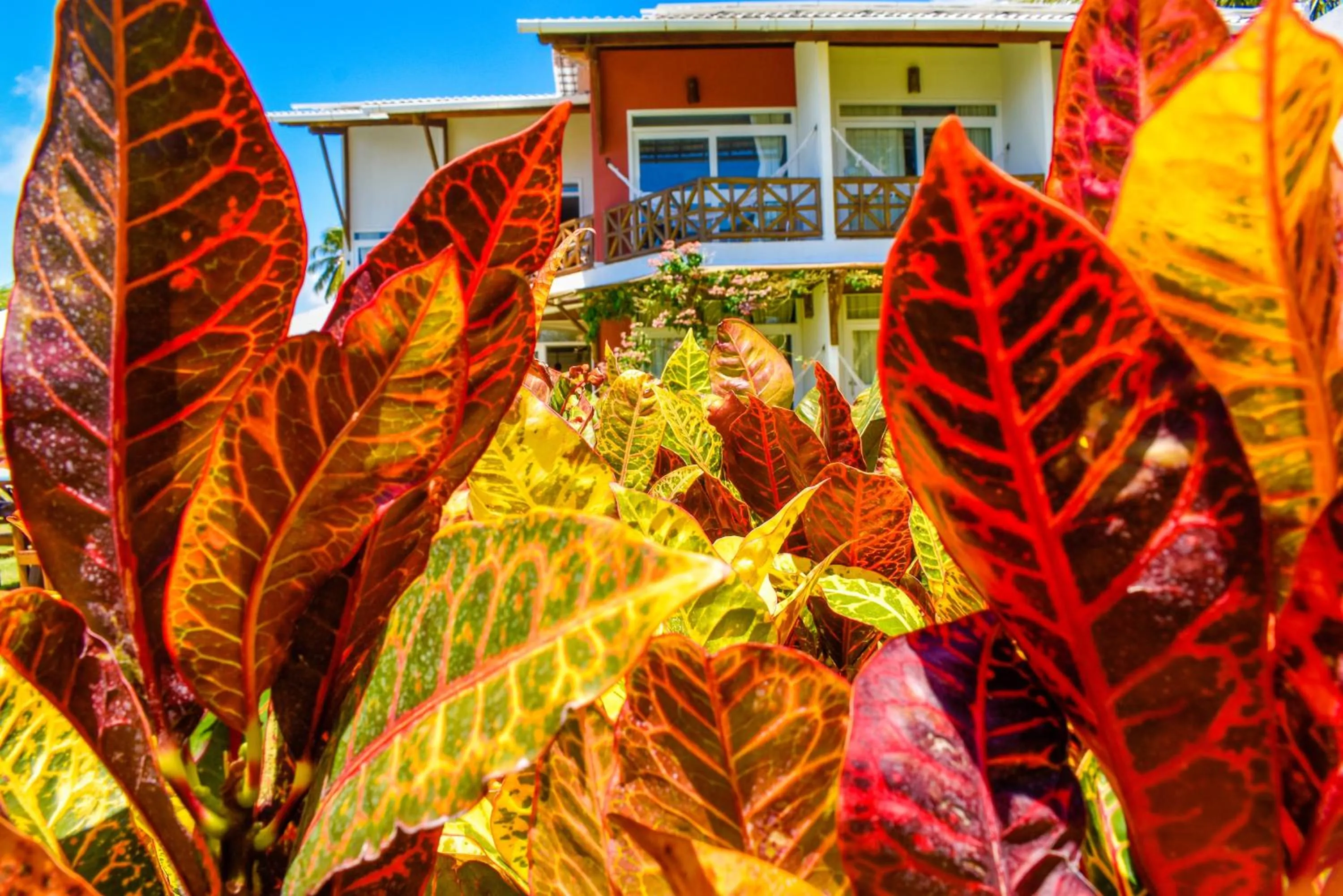 Spring in Pousada Marceneiro