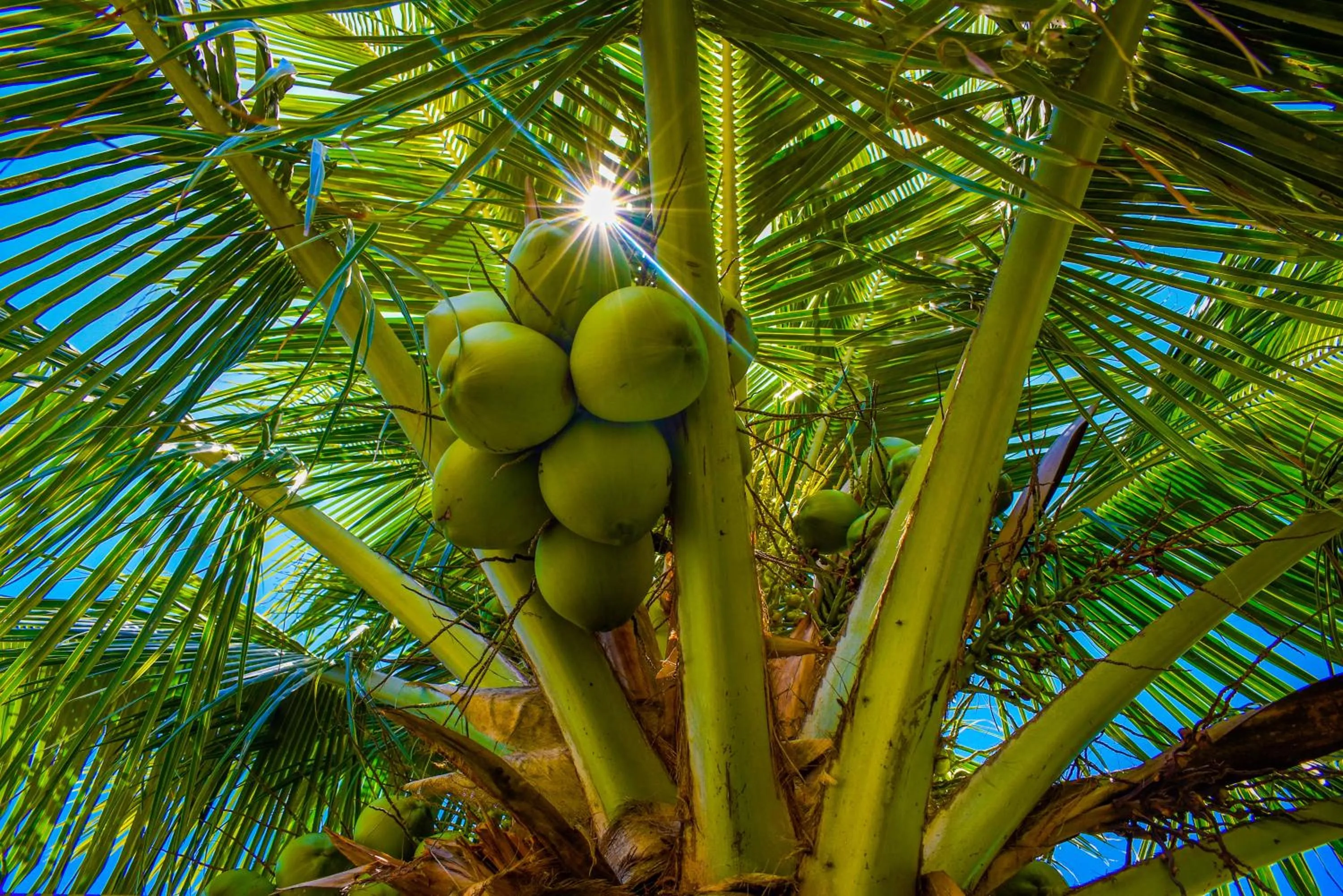 Natural landscape in Pousada Marceneiro