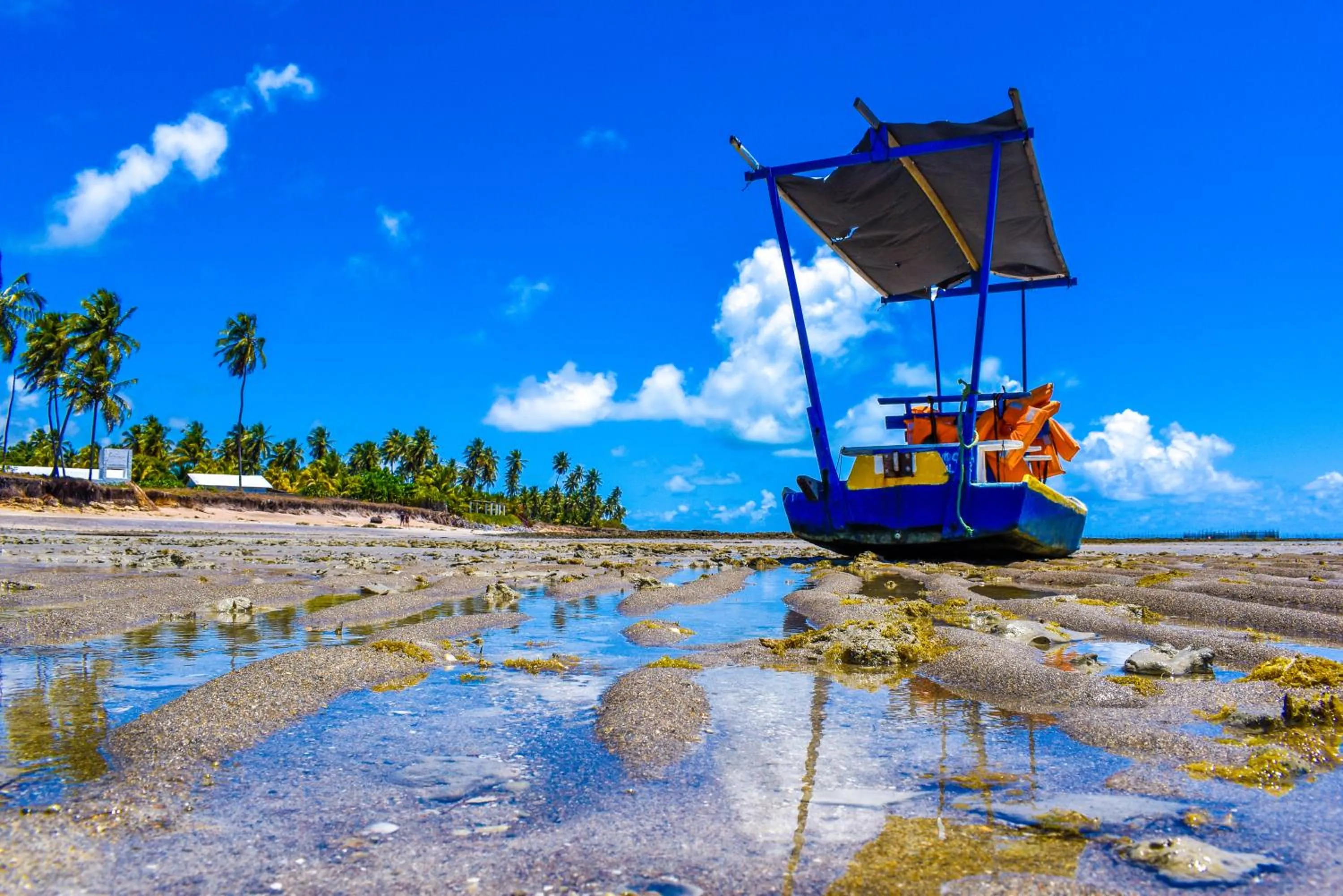 Natural landscape in Pousada Marceneiro