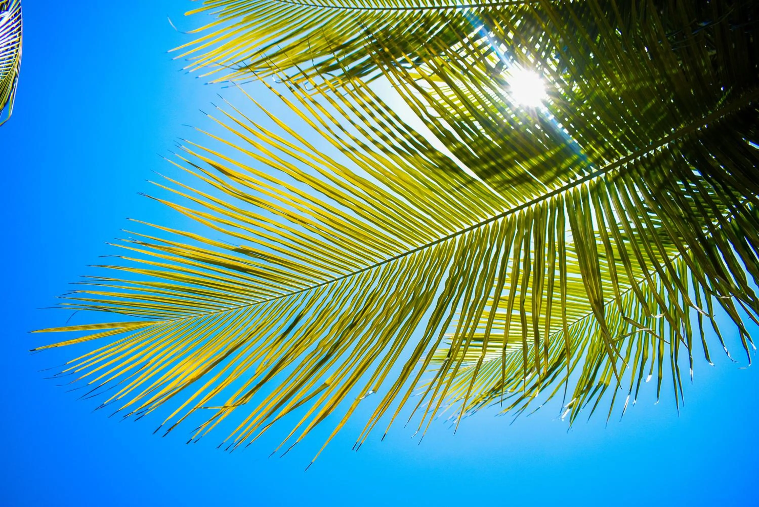 Natural landscape in Pousada Marceneiro