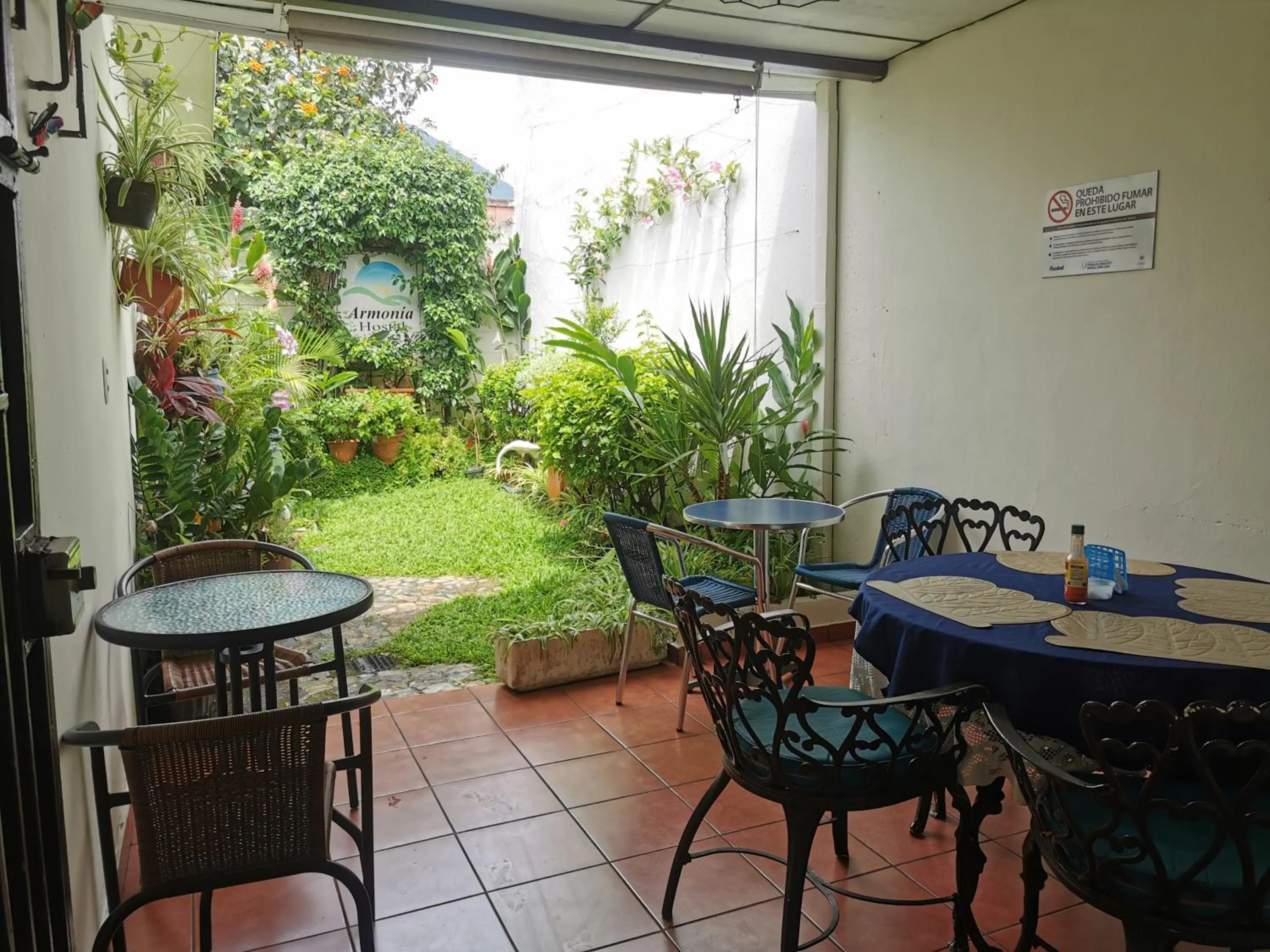 Patio in Hotel Armonía Hostal