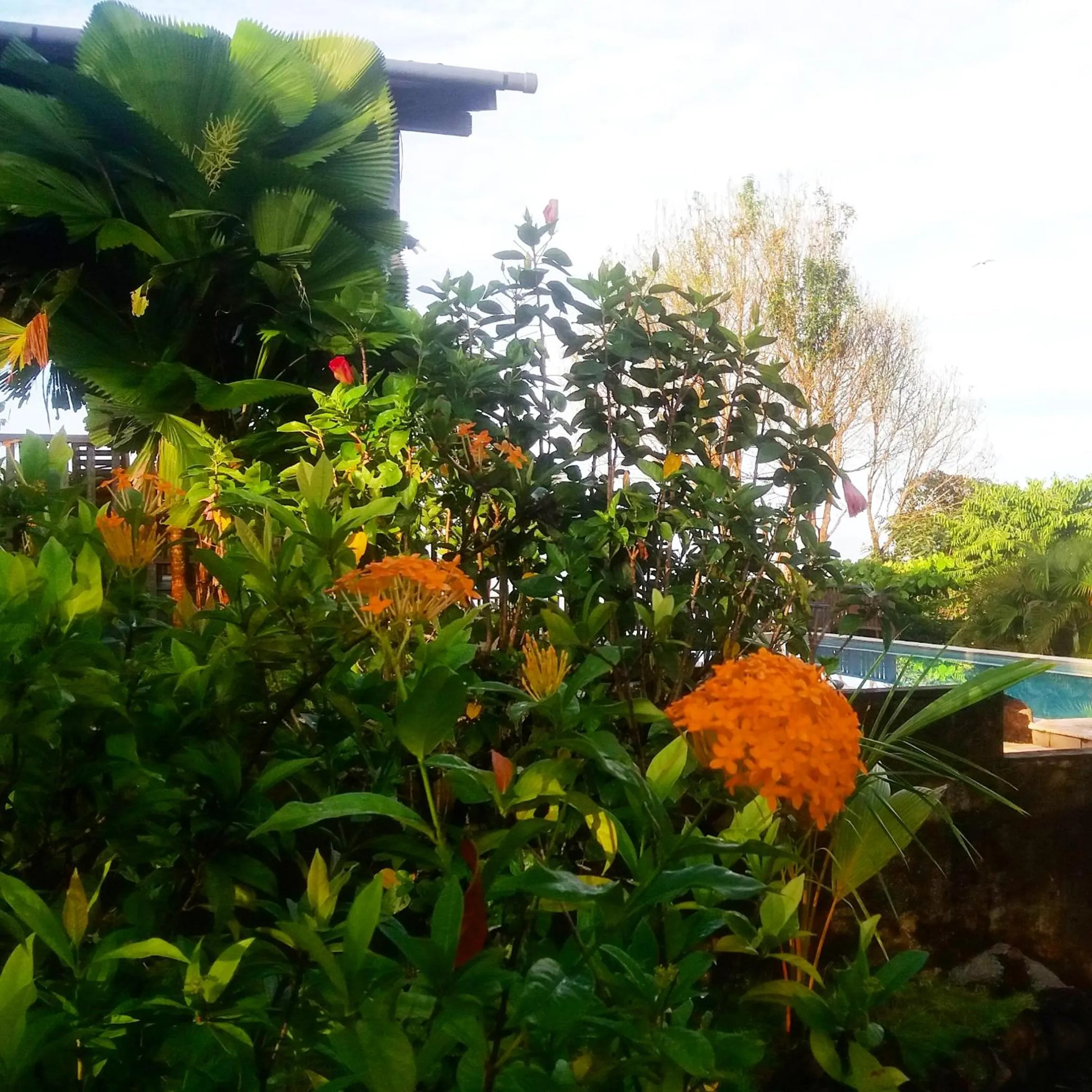 Property building in Punta Duarte Garden Inn