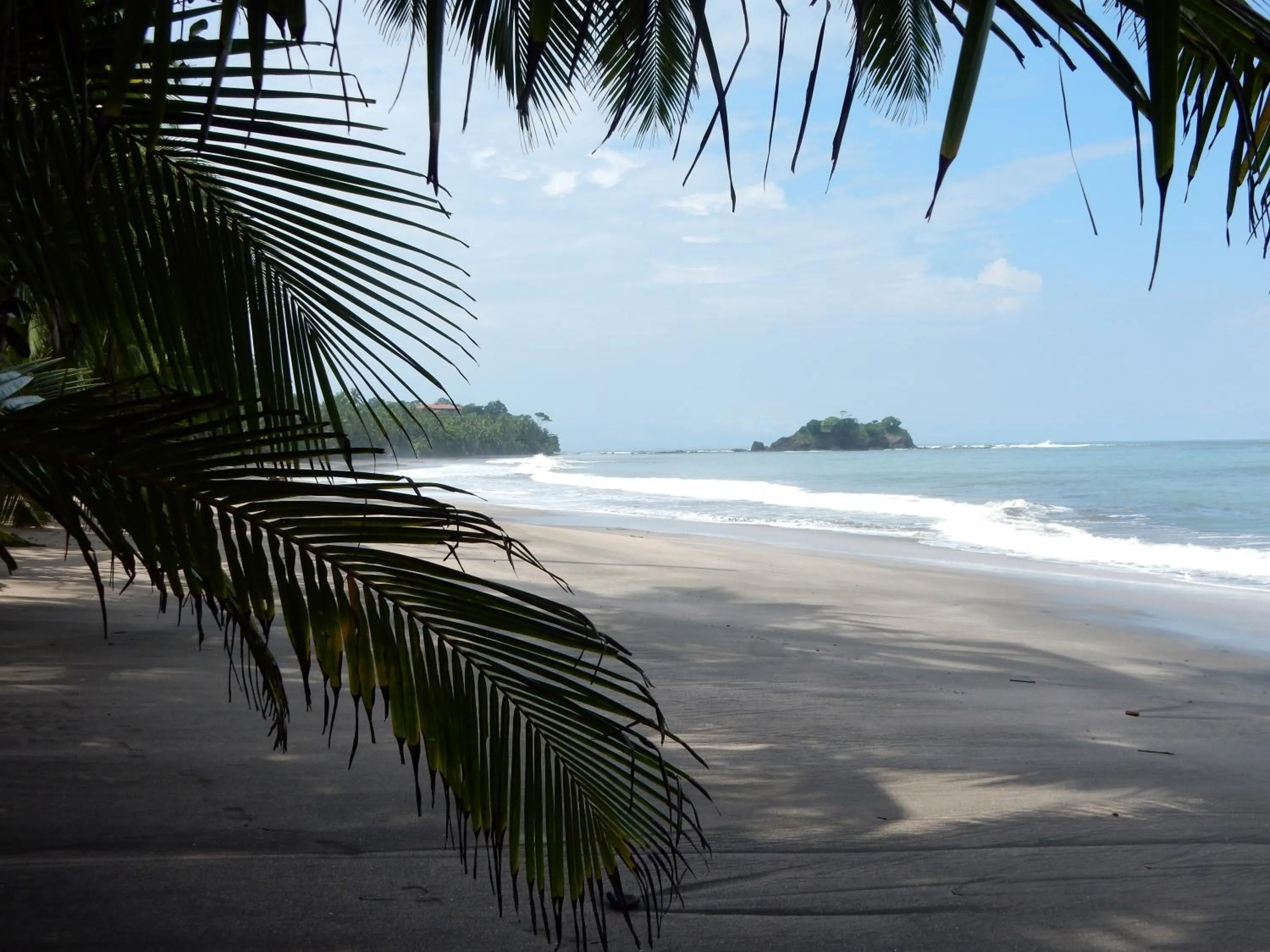 Natural landscape in Punta Duarte Garden Inn