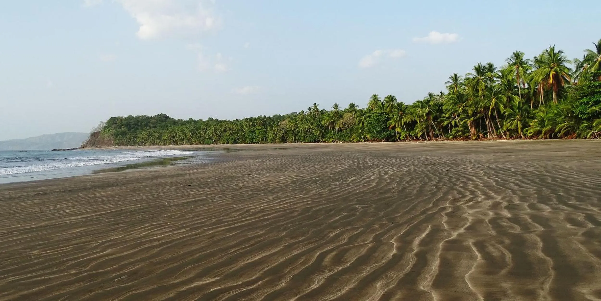 Natural landscape in Punta Duarte Garden Inn