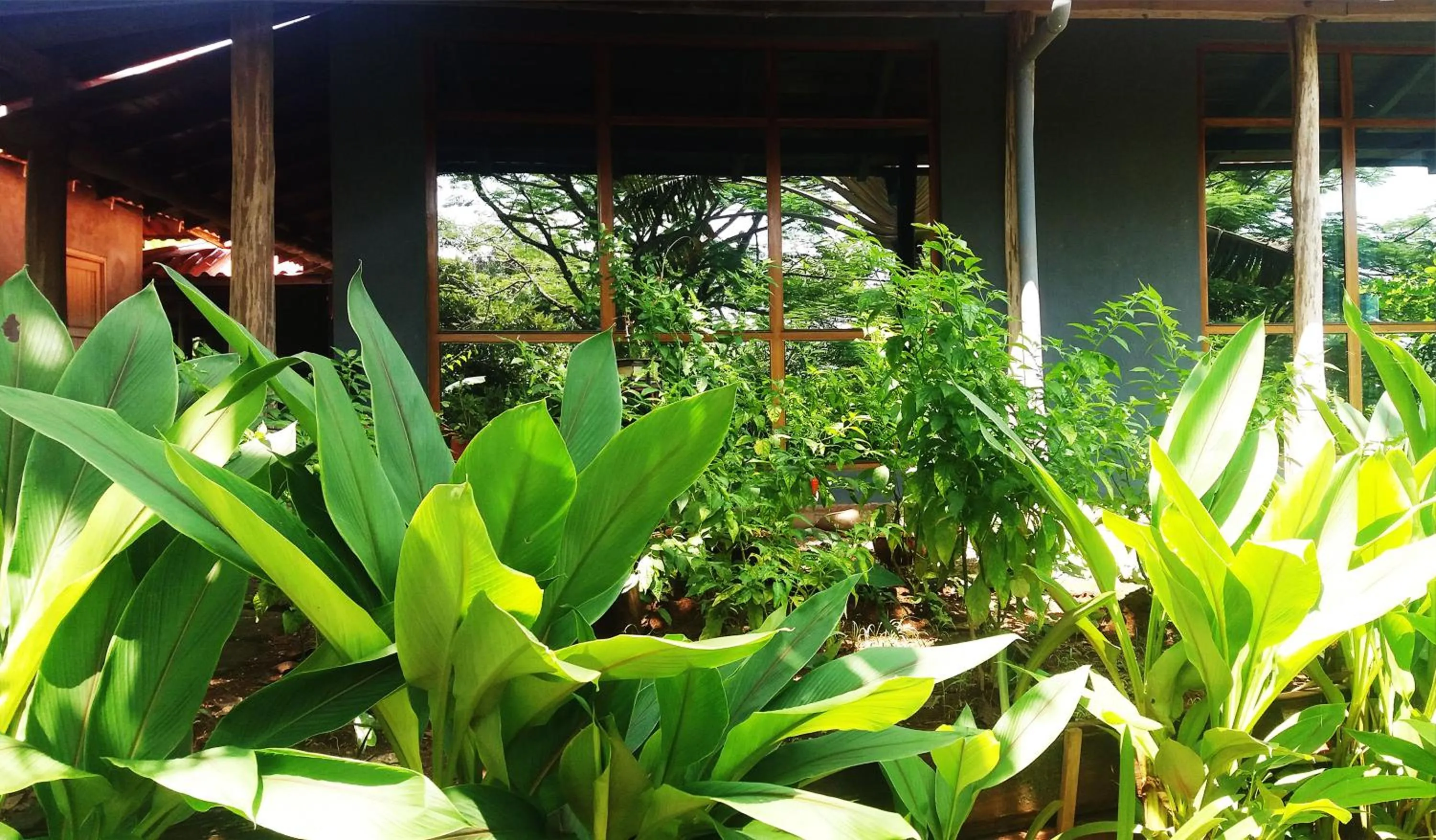 Facade/entrance in Punta Duarte Garden Inn