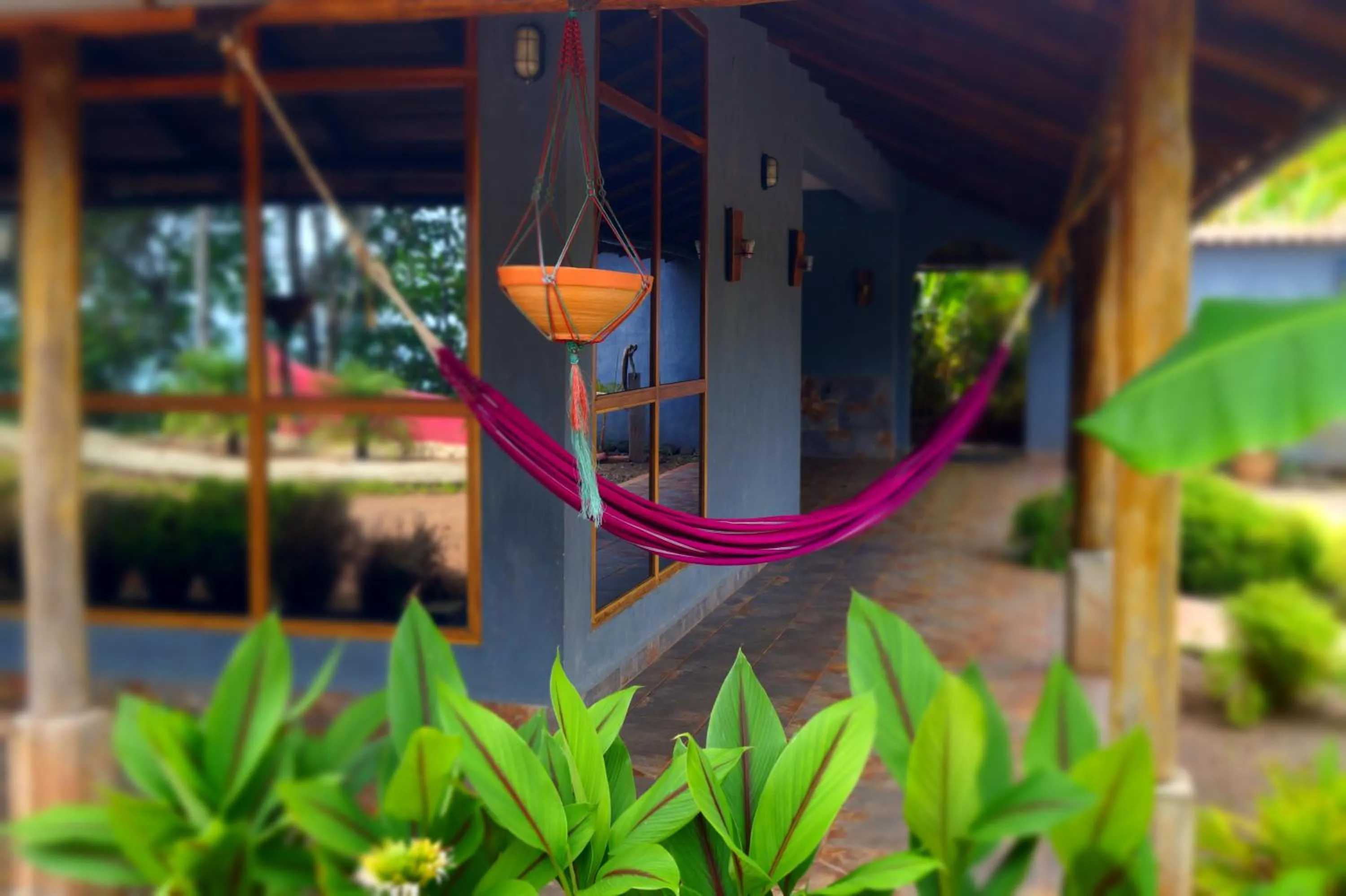 Garden in Punta Duarte Garden Inn