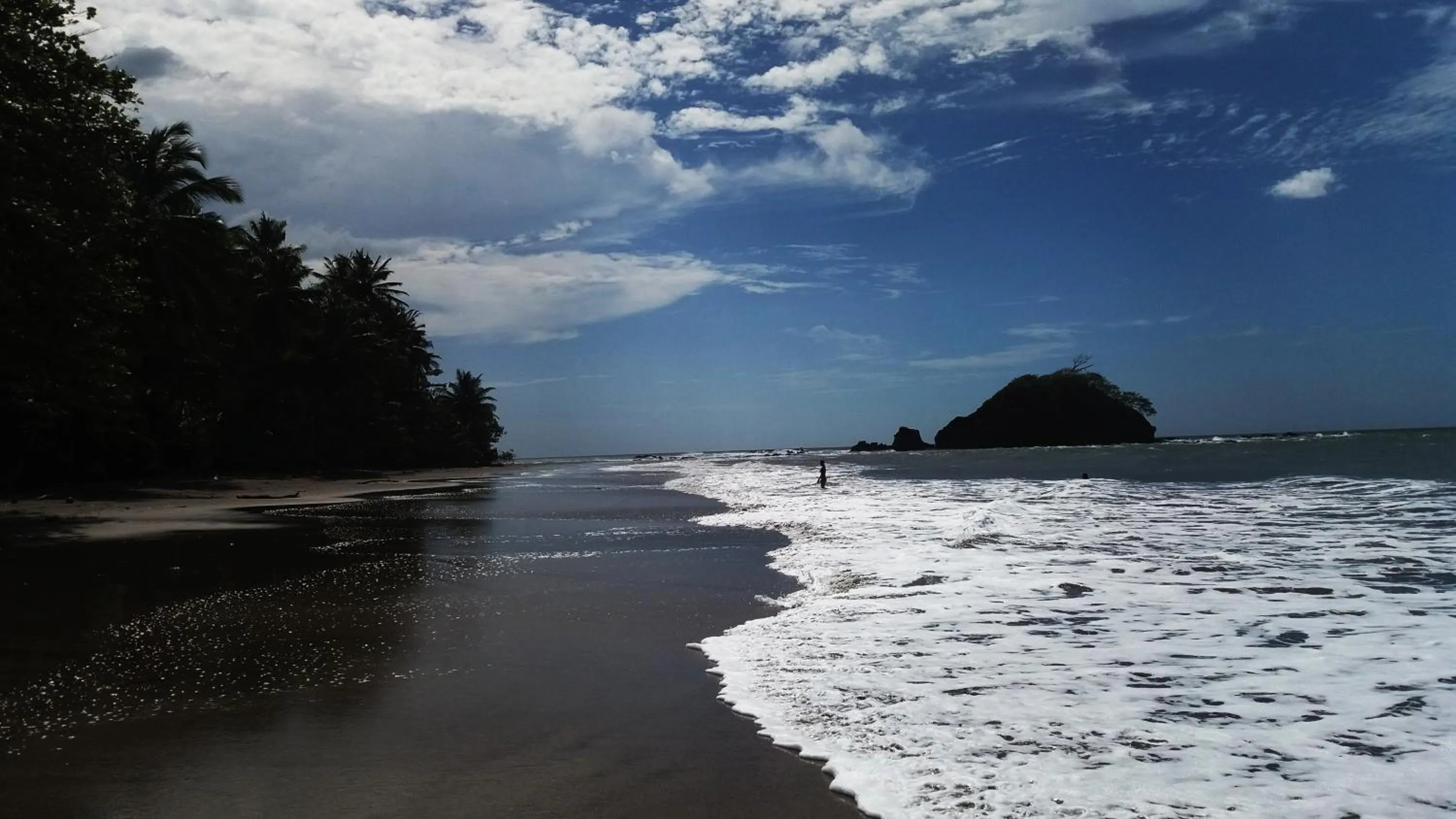 Natural landscape in Punta Duarte Garden Inn