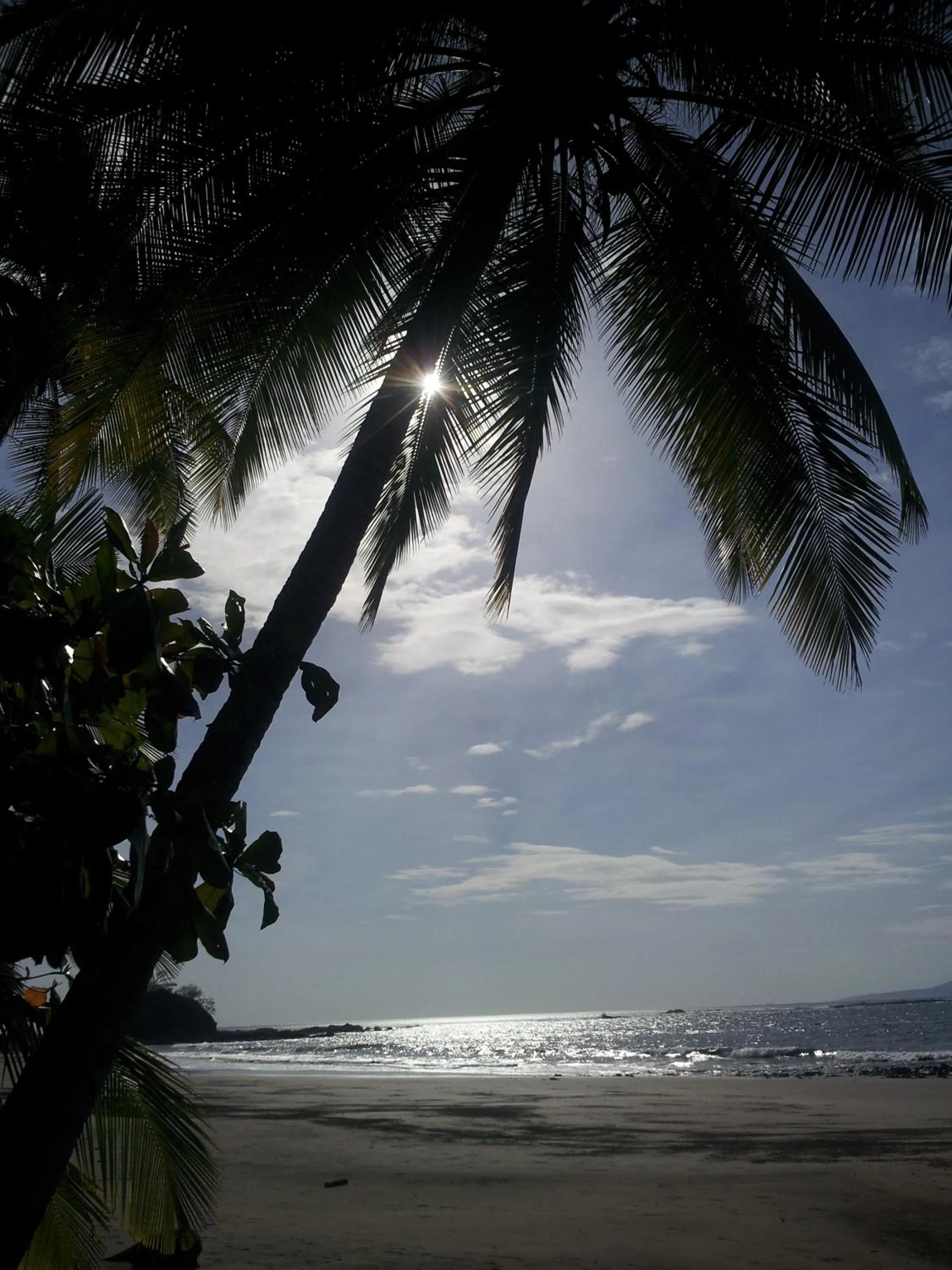 Beach in Punta Duarte Garden Inn
