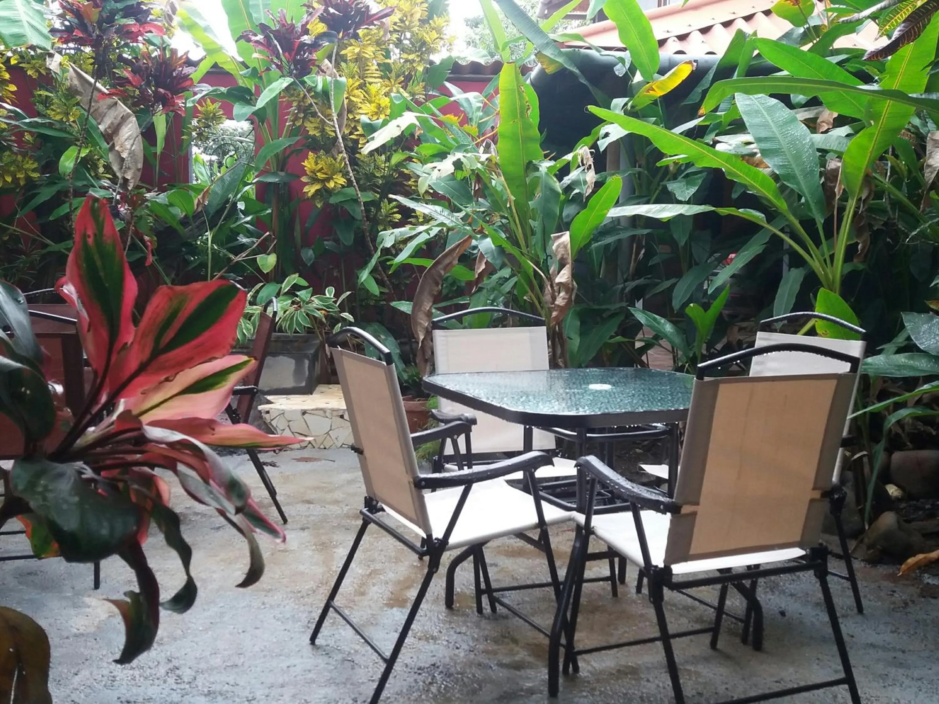 Patio in Punta Duarte Garden Inn