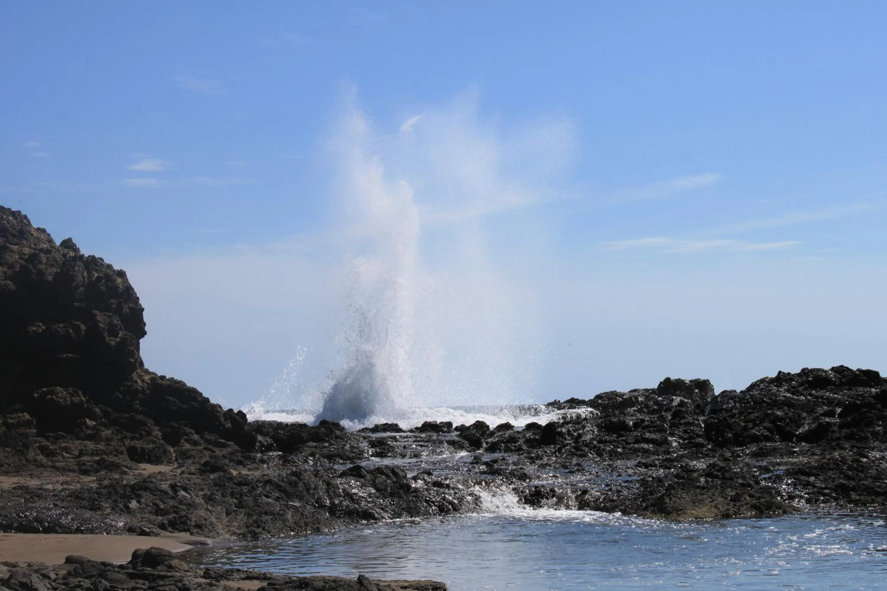 Natural landscape in Punta Duarte Garden Inn