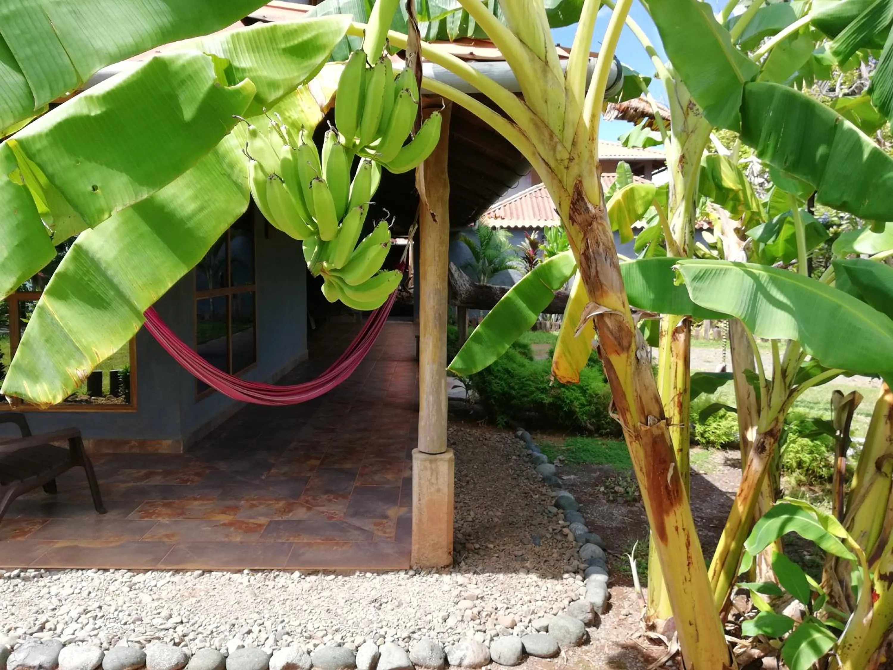 Garden in Punta Duarte Garden Inn