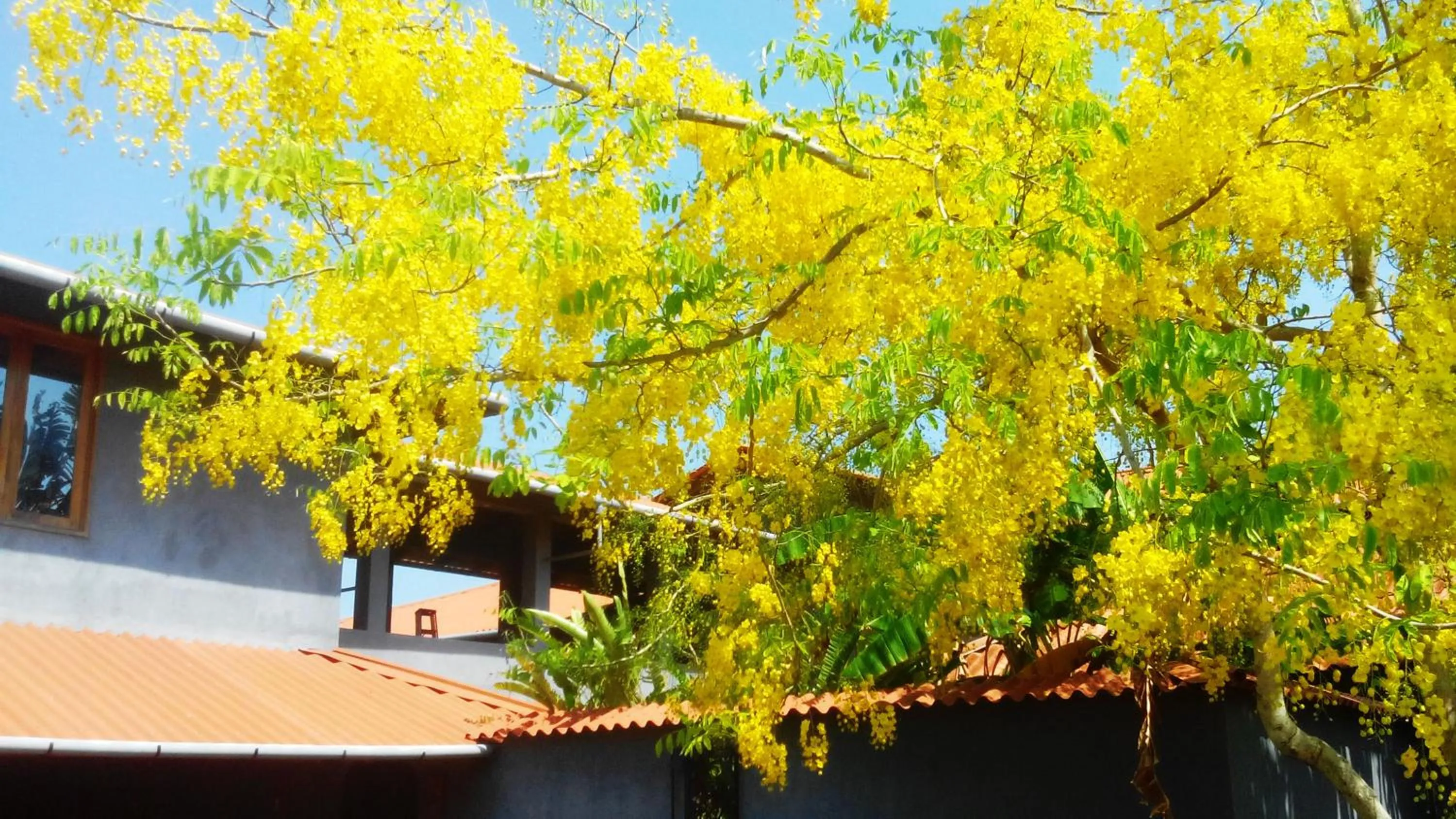 Property building in Punta Duarte Garden Inn