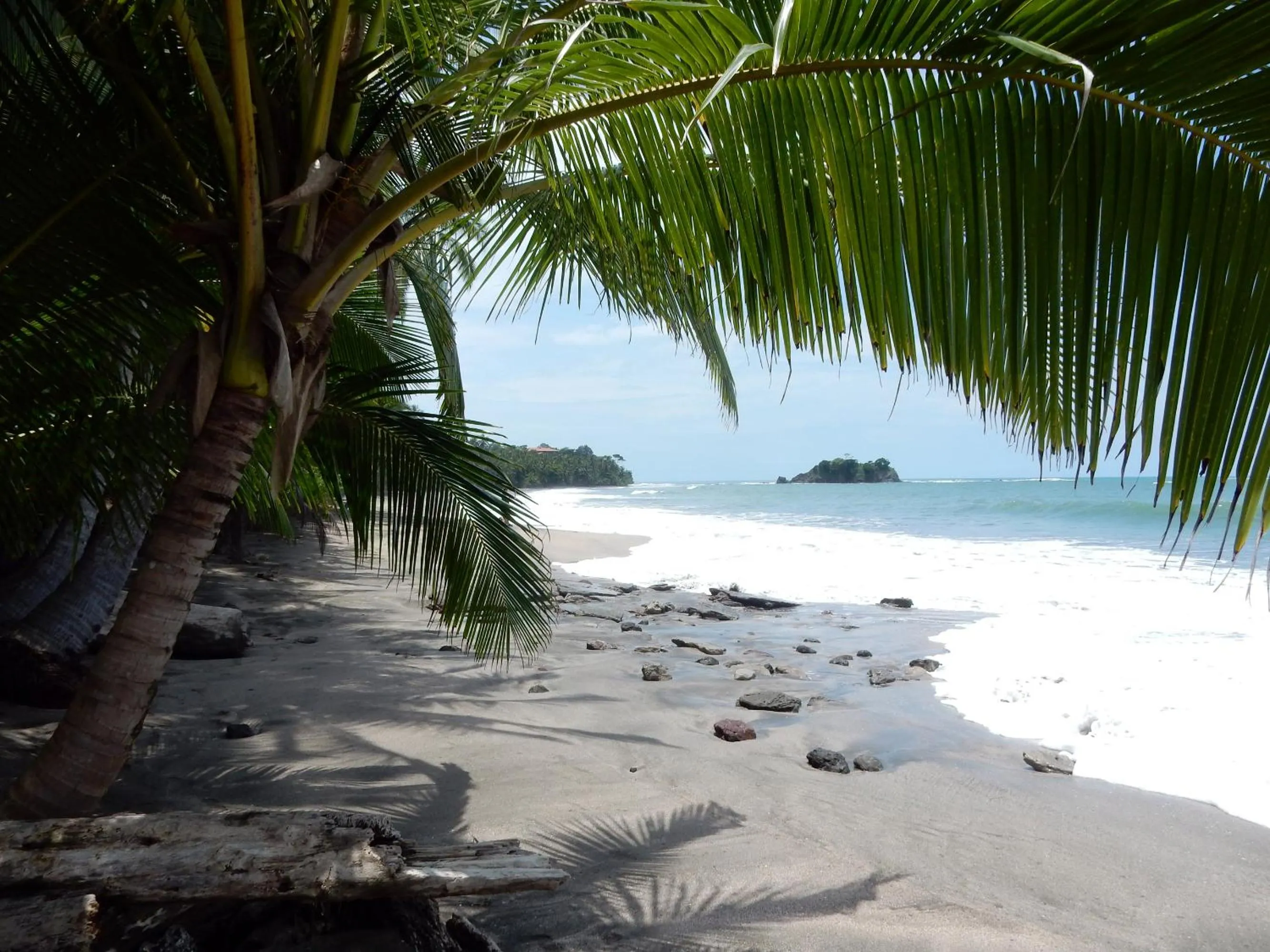 Beach in Punta Duarte Garden Inn