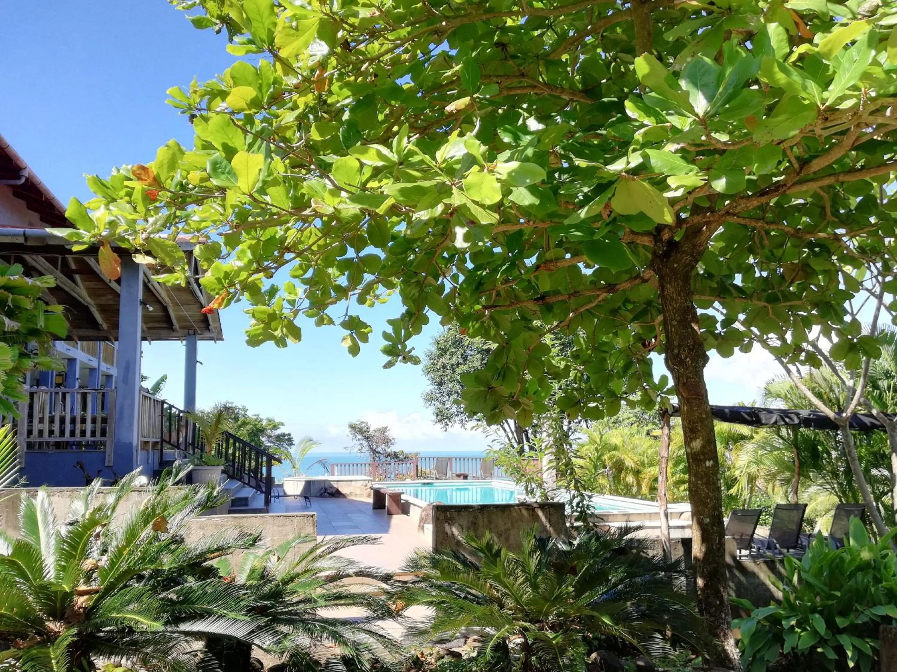 Garden in Punta Duarte Garden Inn