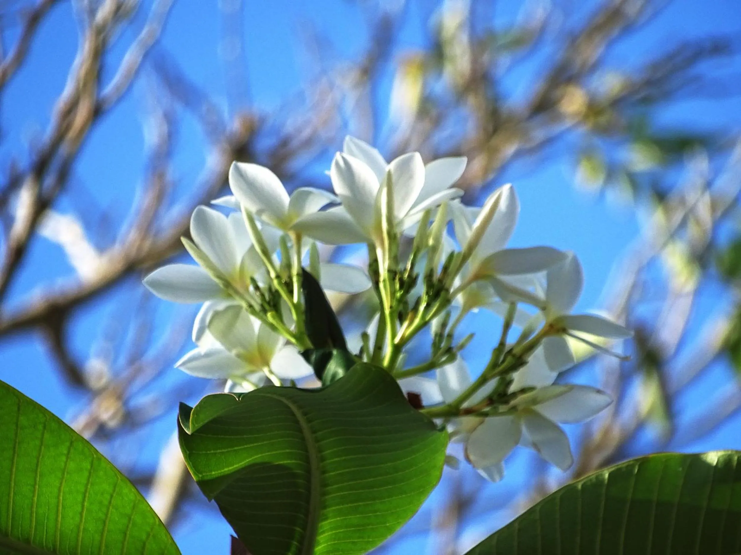Other in Punta Duarte Garden Inn
