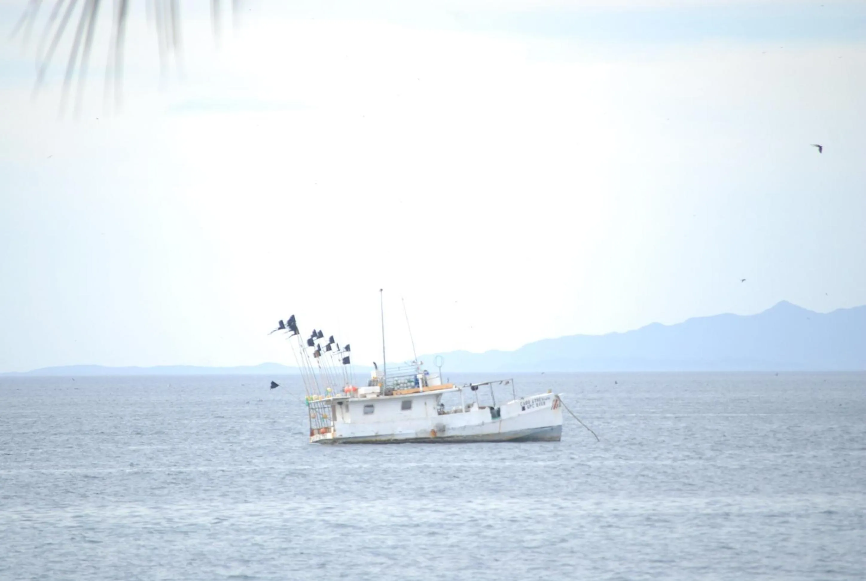 Beach in Hotel M&M Beach House