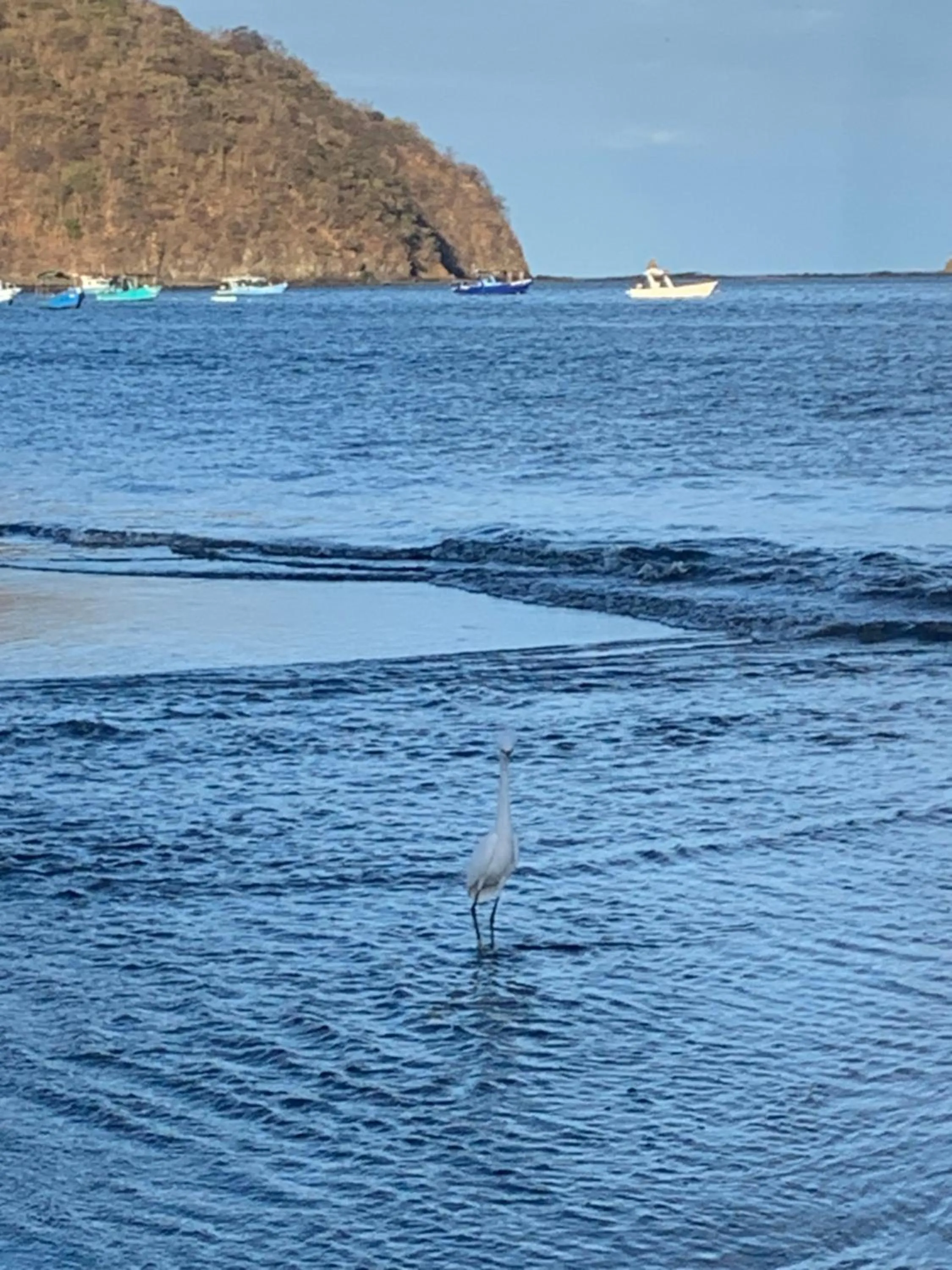 Natural landscape in Toro Blanco