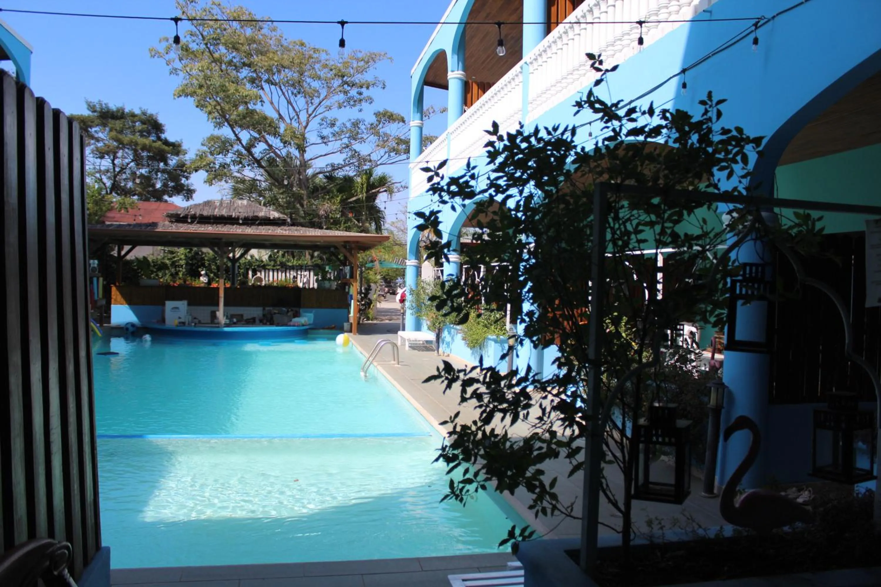 Pool view in Toro Blanco