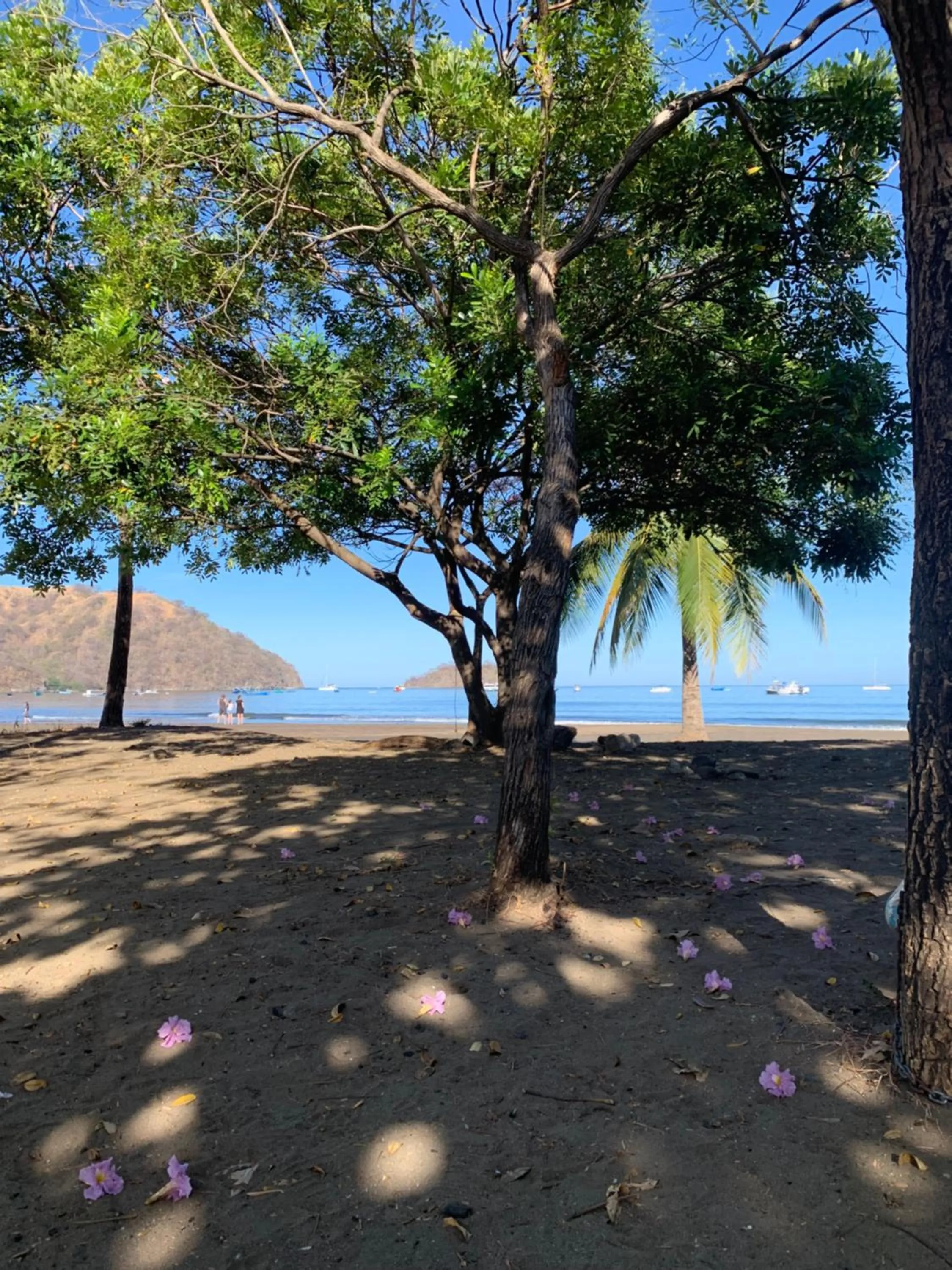 Beach in Toro Blanco