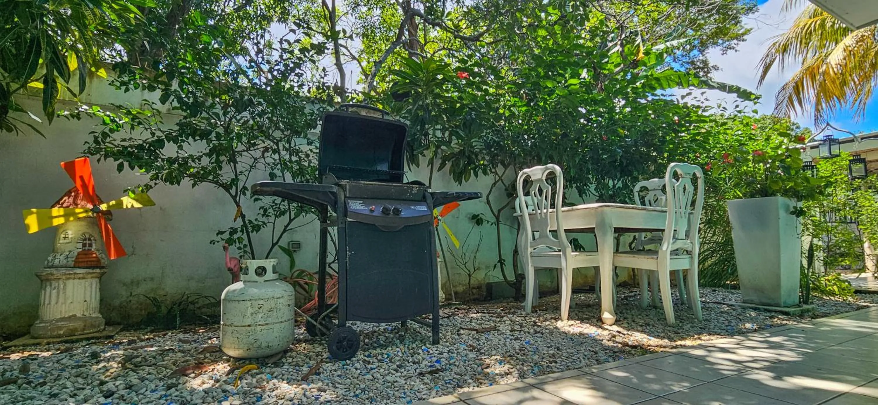BBQ facilities in Toro Blanco