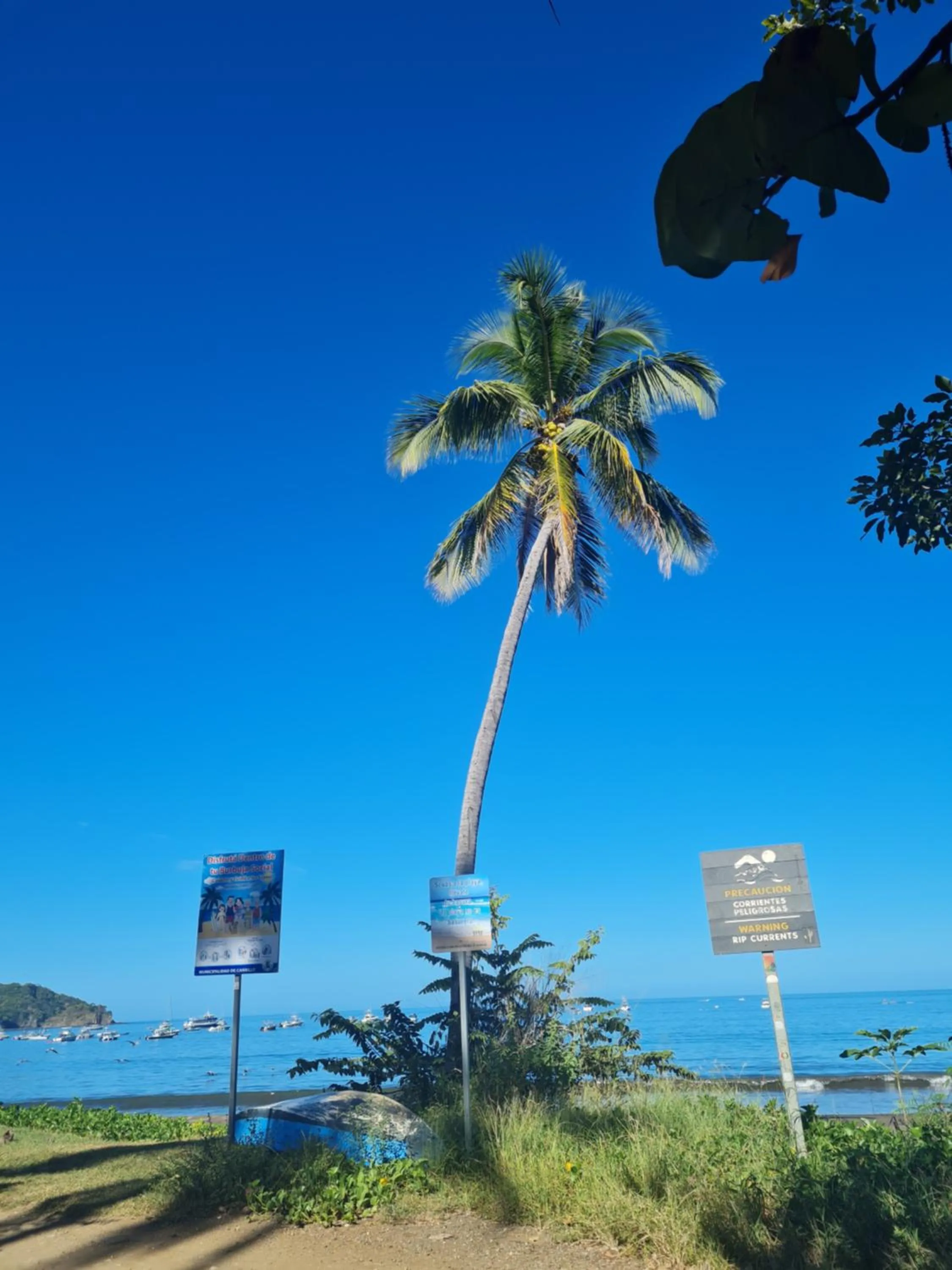 Beach in Toro Blanco