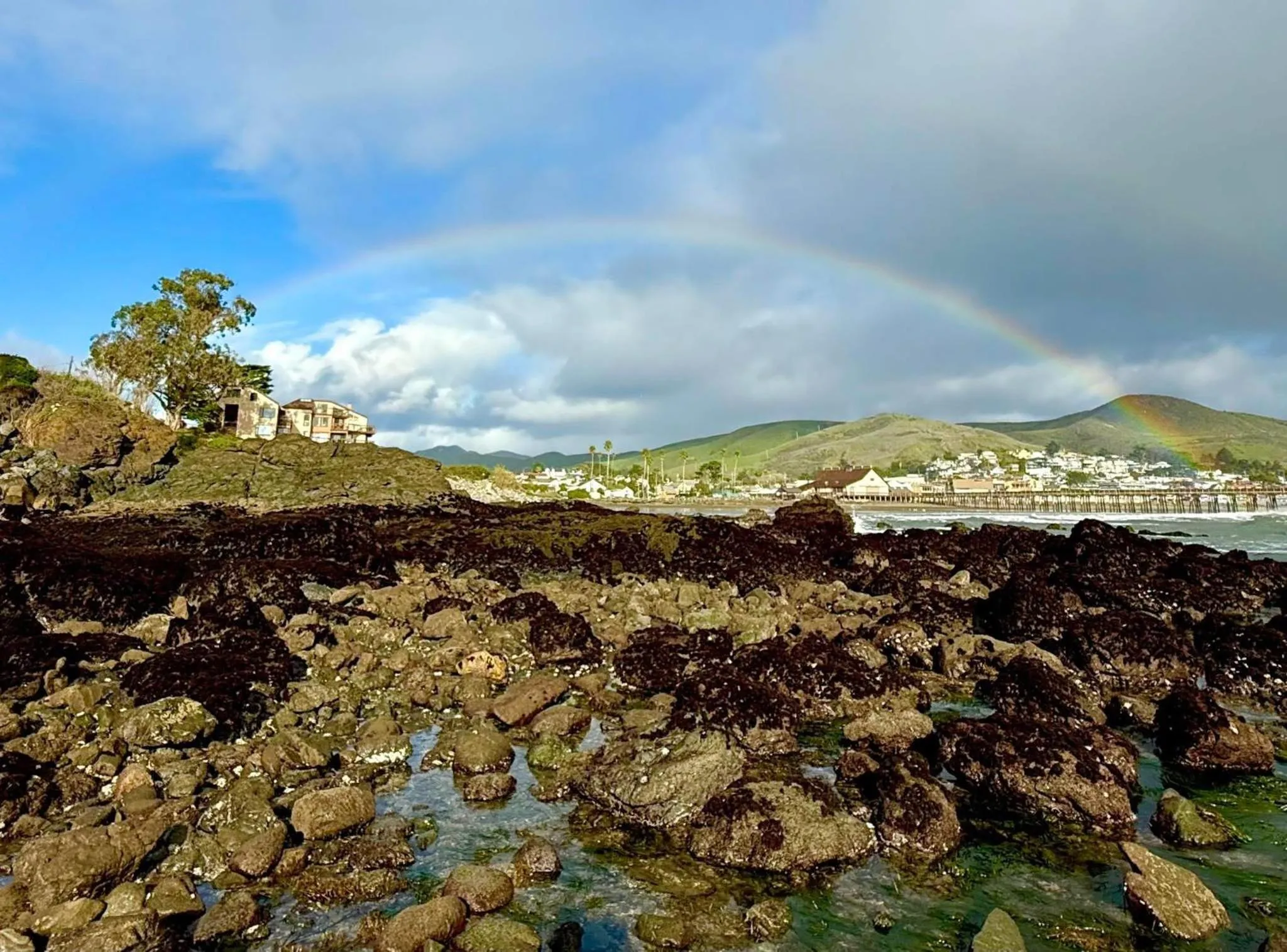 Windsurfing in Morro Bay Beach Inn