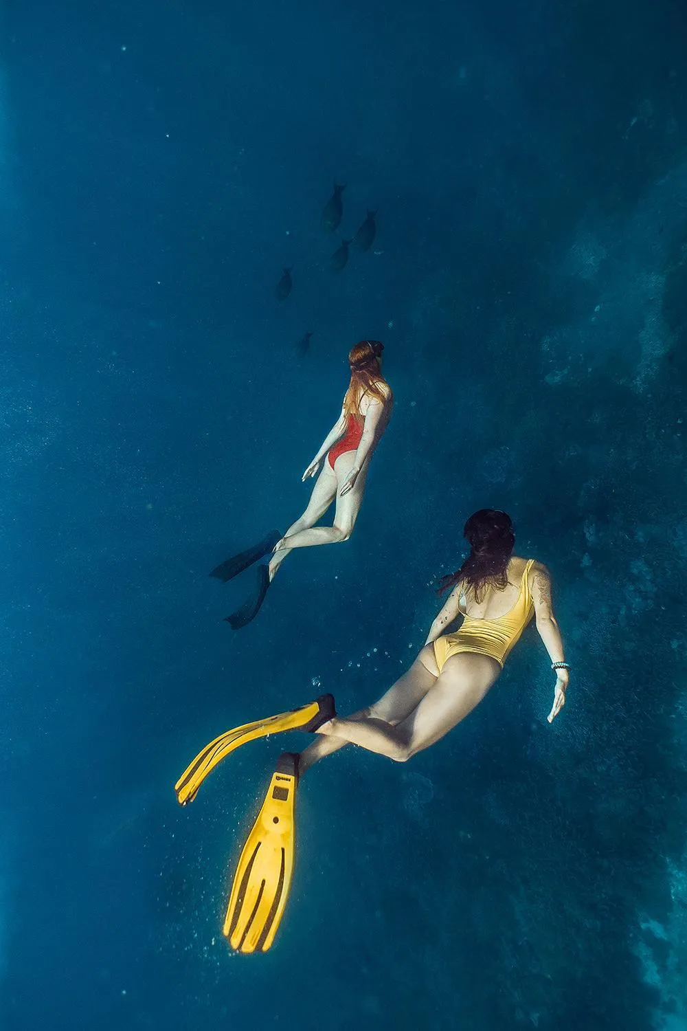 Snorkeling in Seven Angels Villa and Hostel