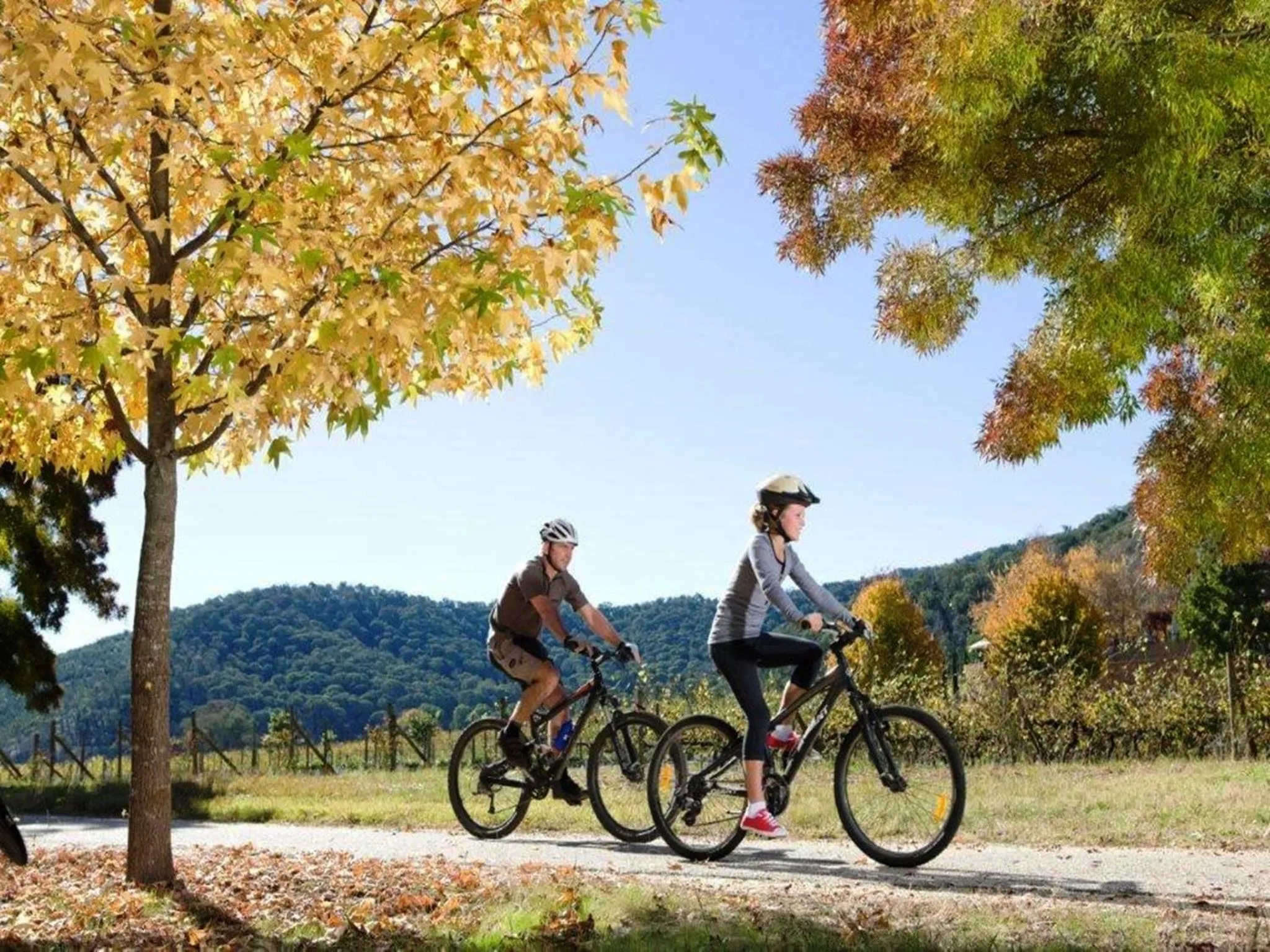 Cycling in Discovery Parks - Bright
