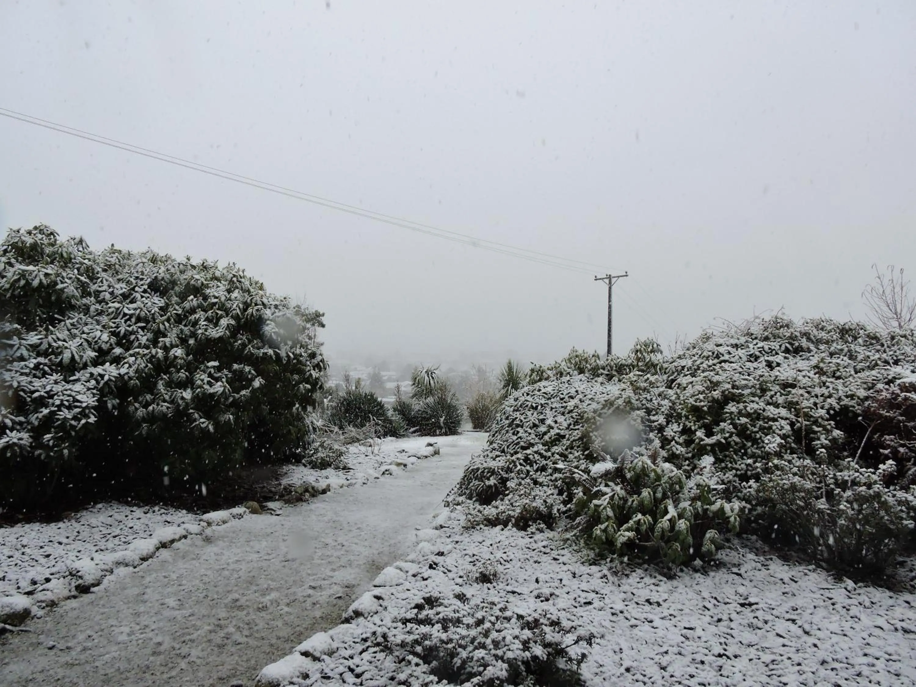 Garden in The Reservation B&B