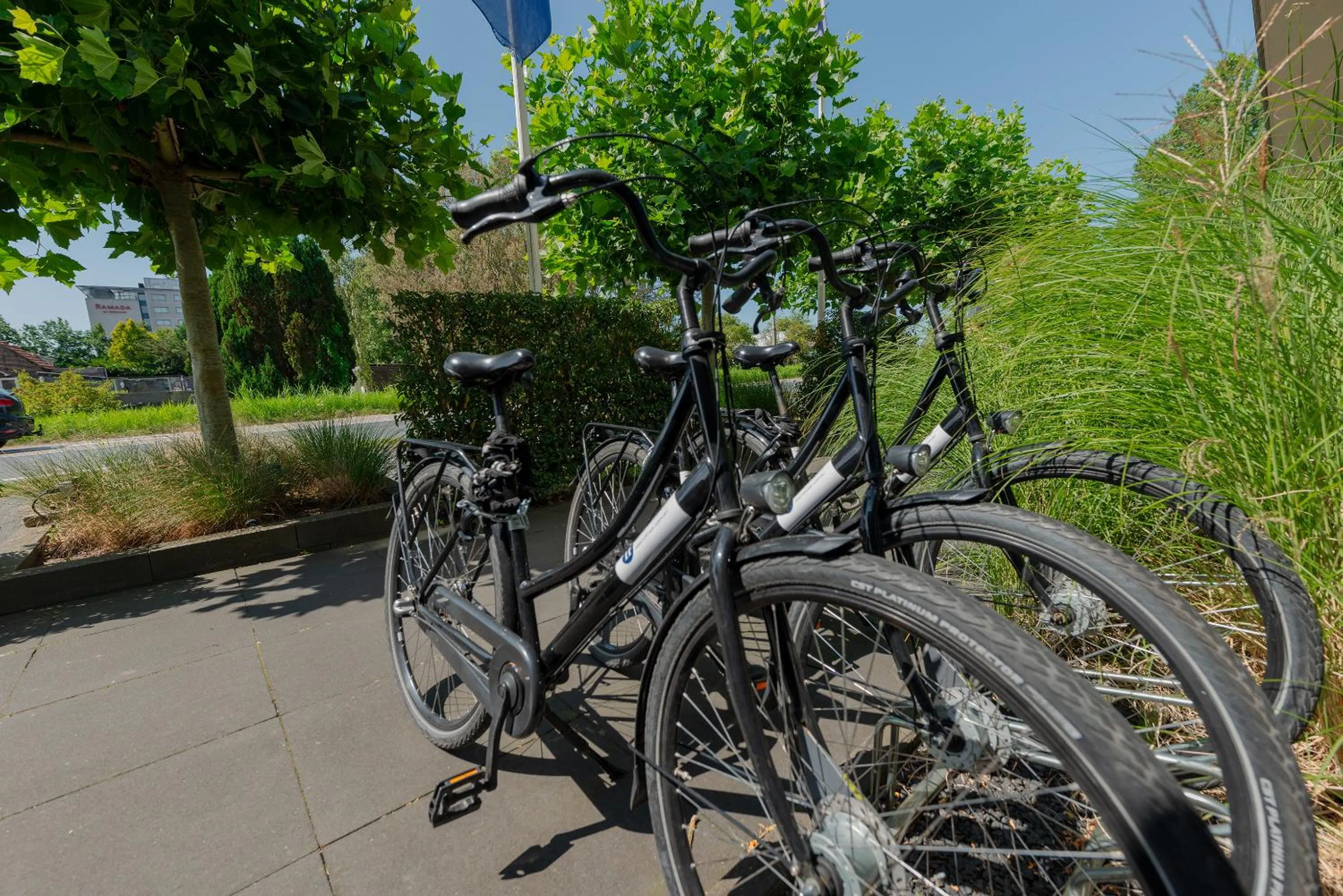 Cycling in Boutique Hotel Herbergh Amsterdam Airport FREE PARKING