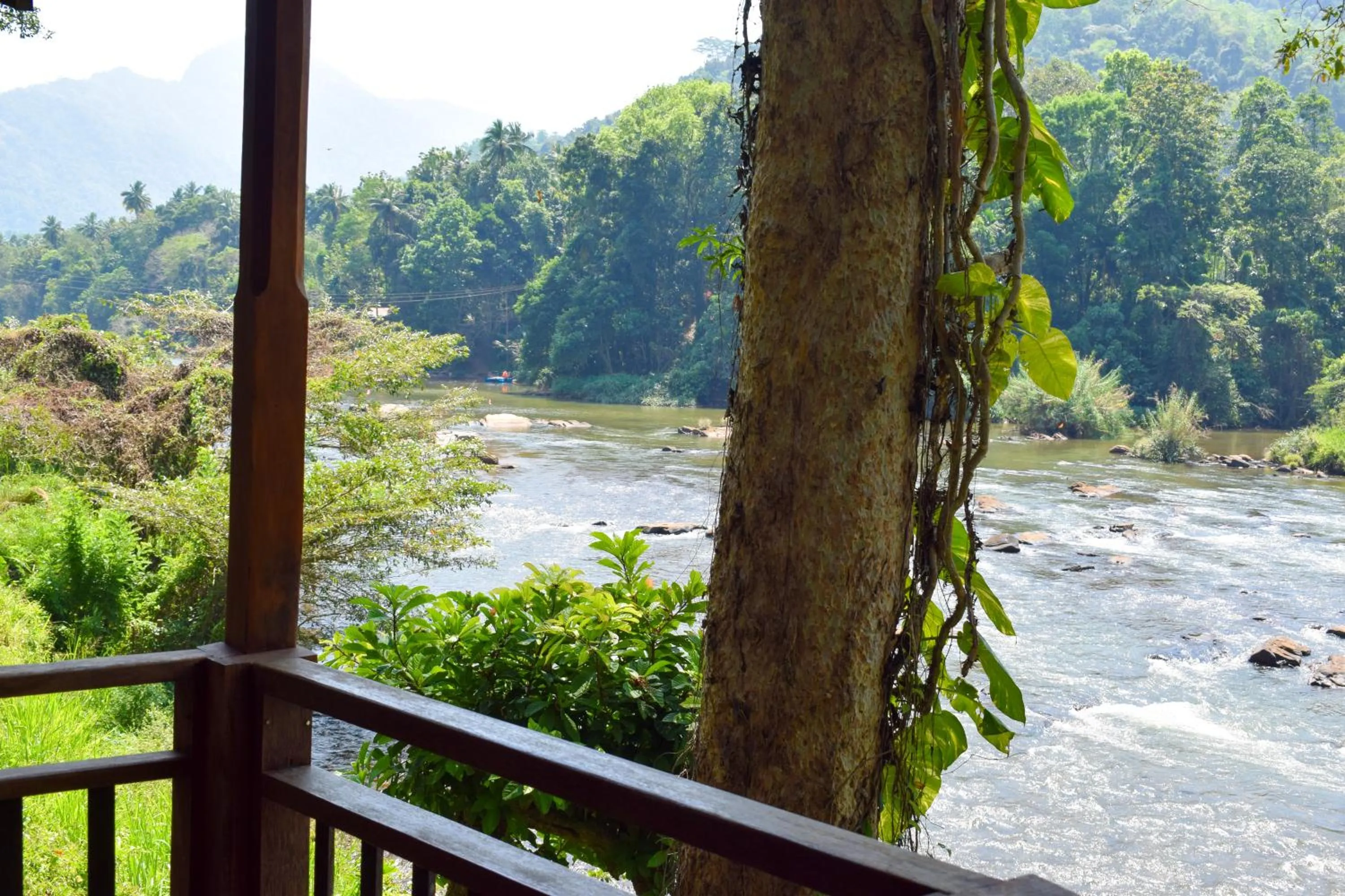 Day in Rafters Retreat