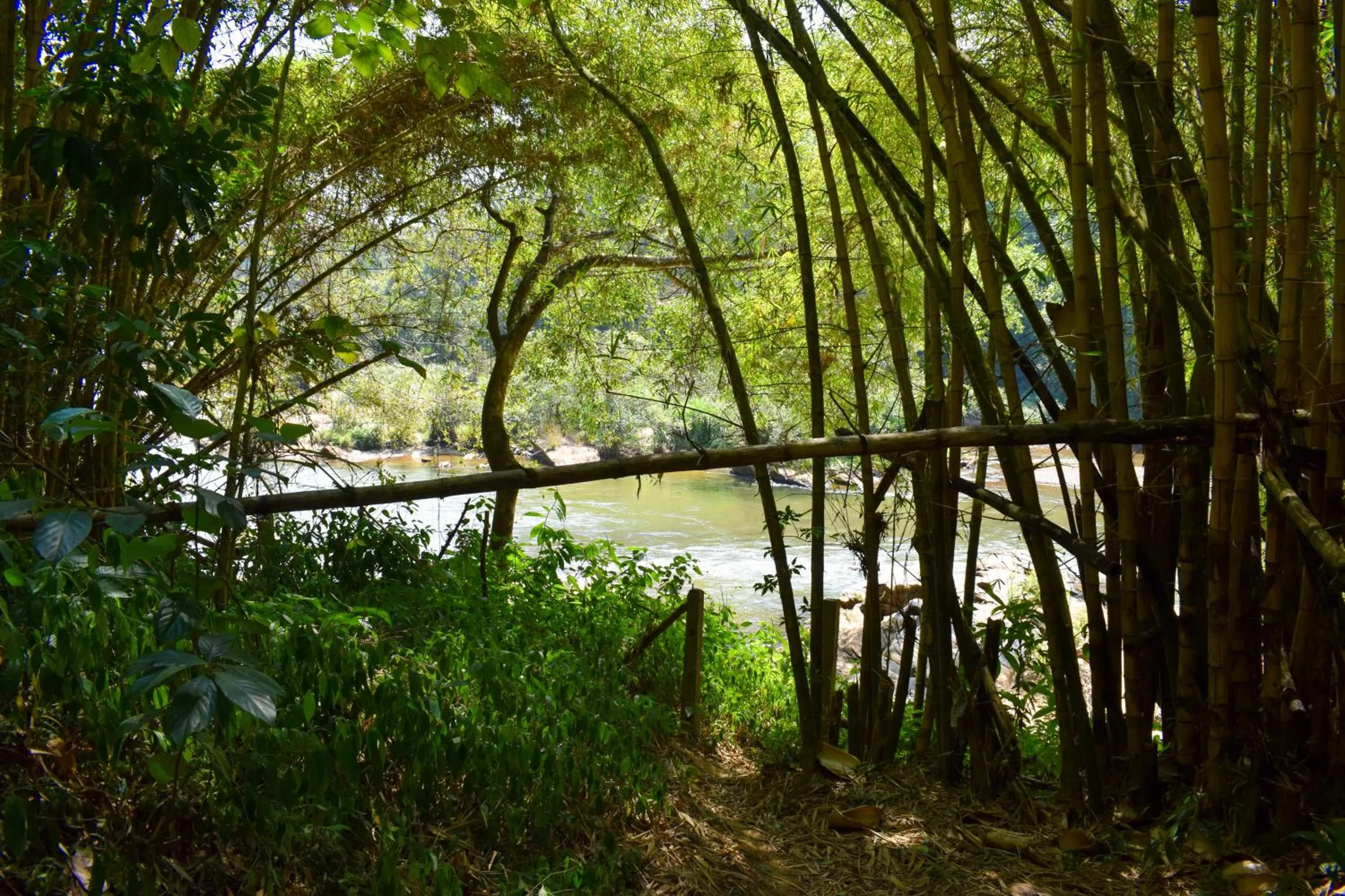Natural landscape in Rafters Retreat