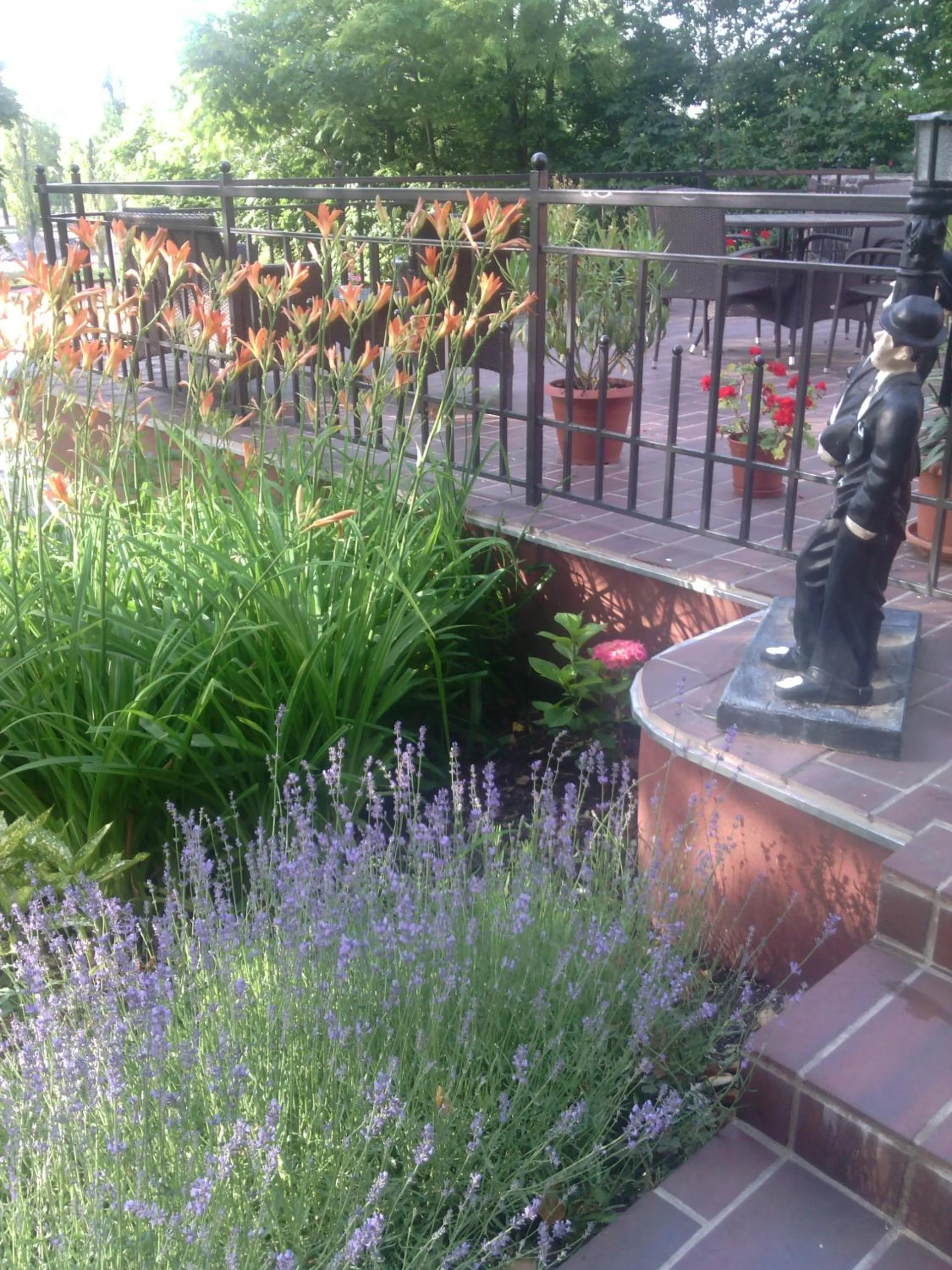 Natural landscape in Stan és Panzió