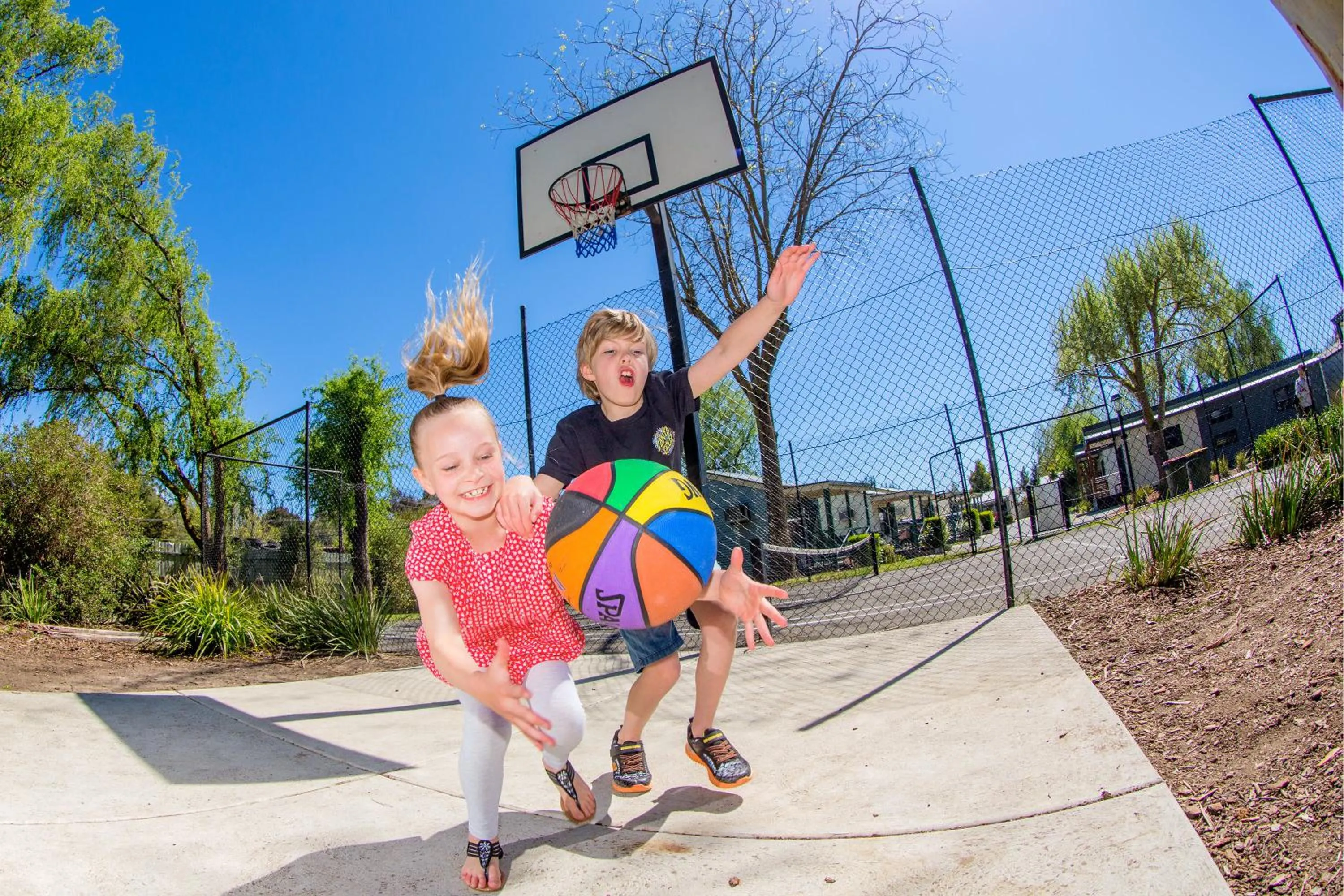 Activities in NRMA Ballarat Holiday Park