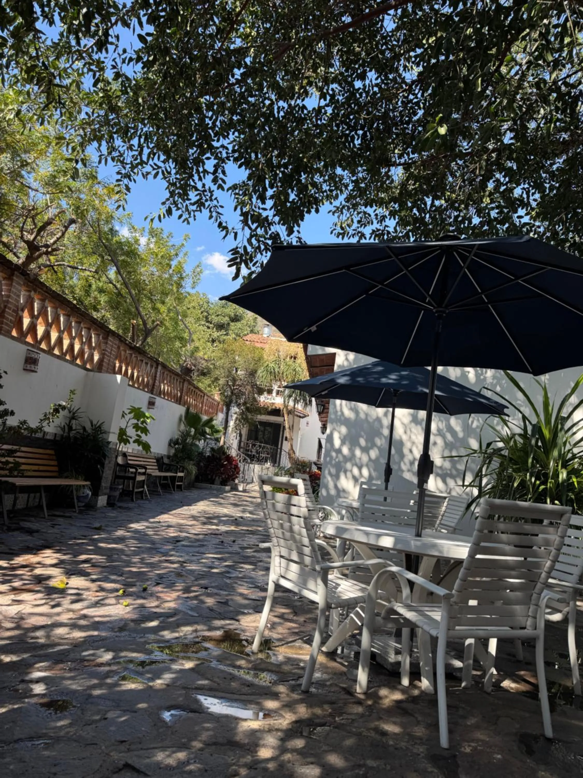 Patio in Casa Yollotzin