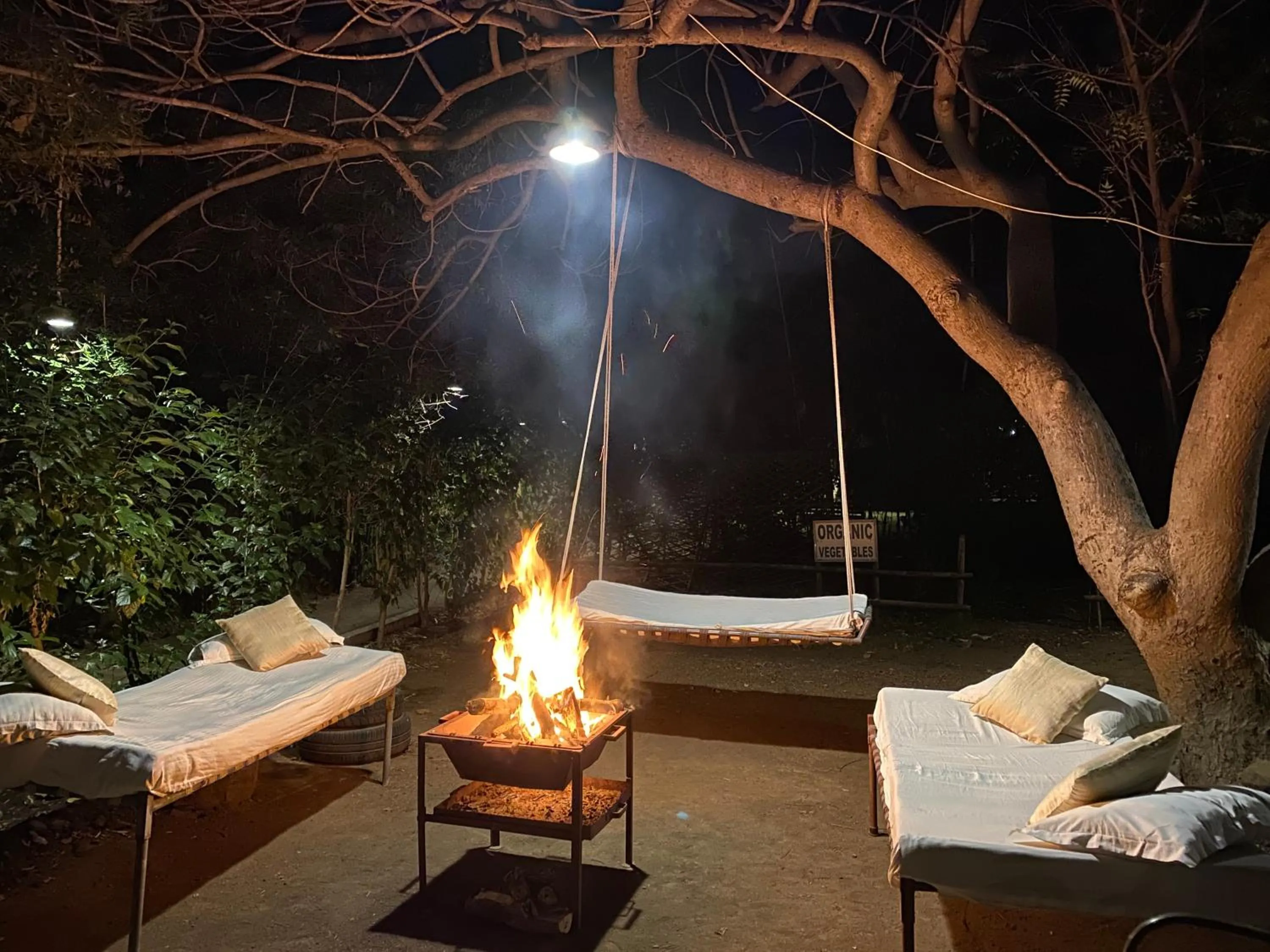 Seating area in Asiatic Lion Lodge