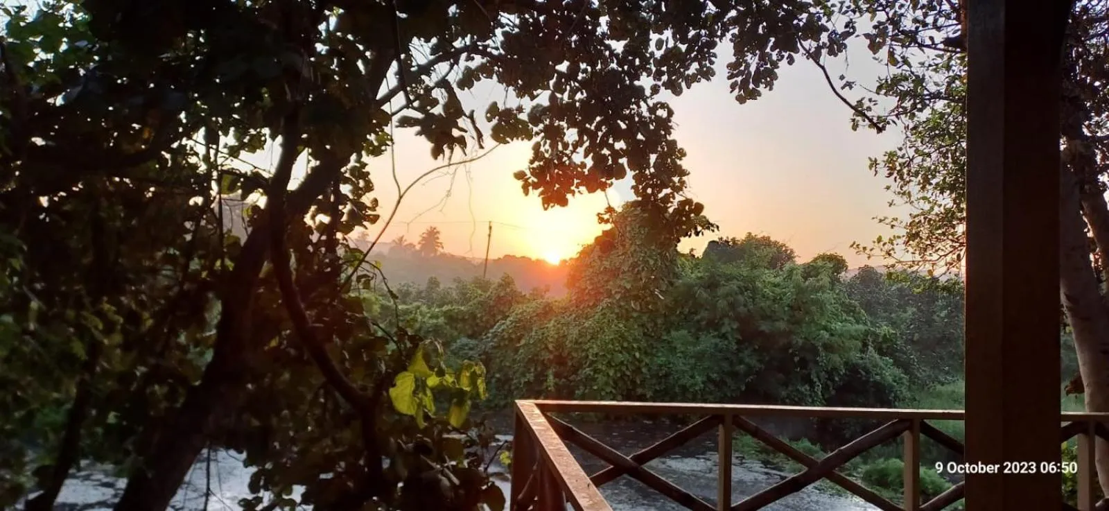 Sunrise in Asiatic Lion Lodge